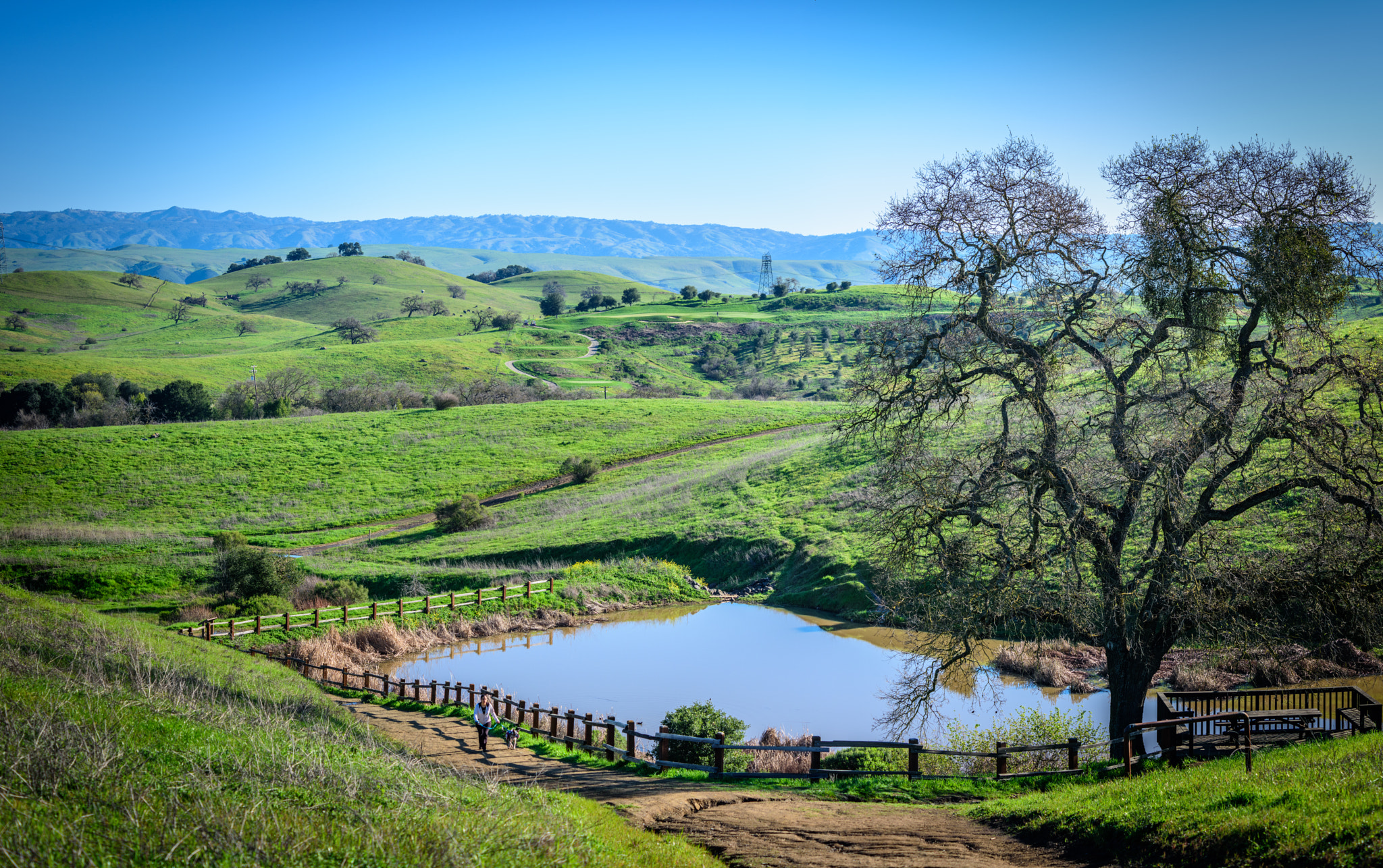 Nikon D810A sample photo. Calero county park walk photography