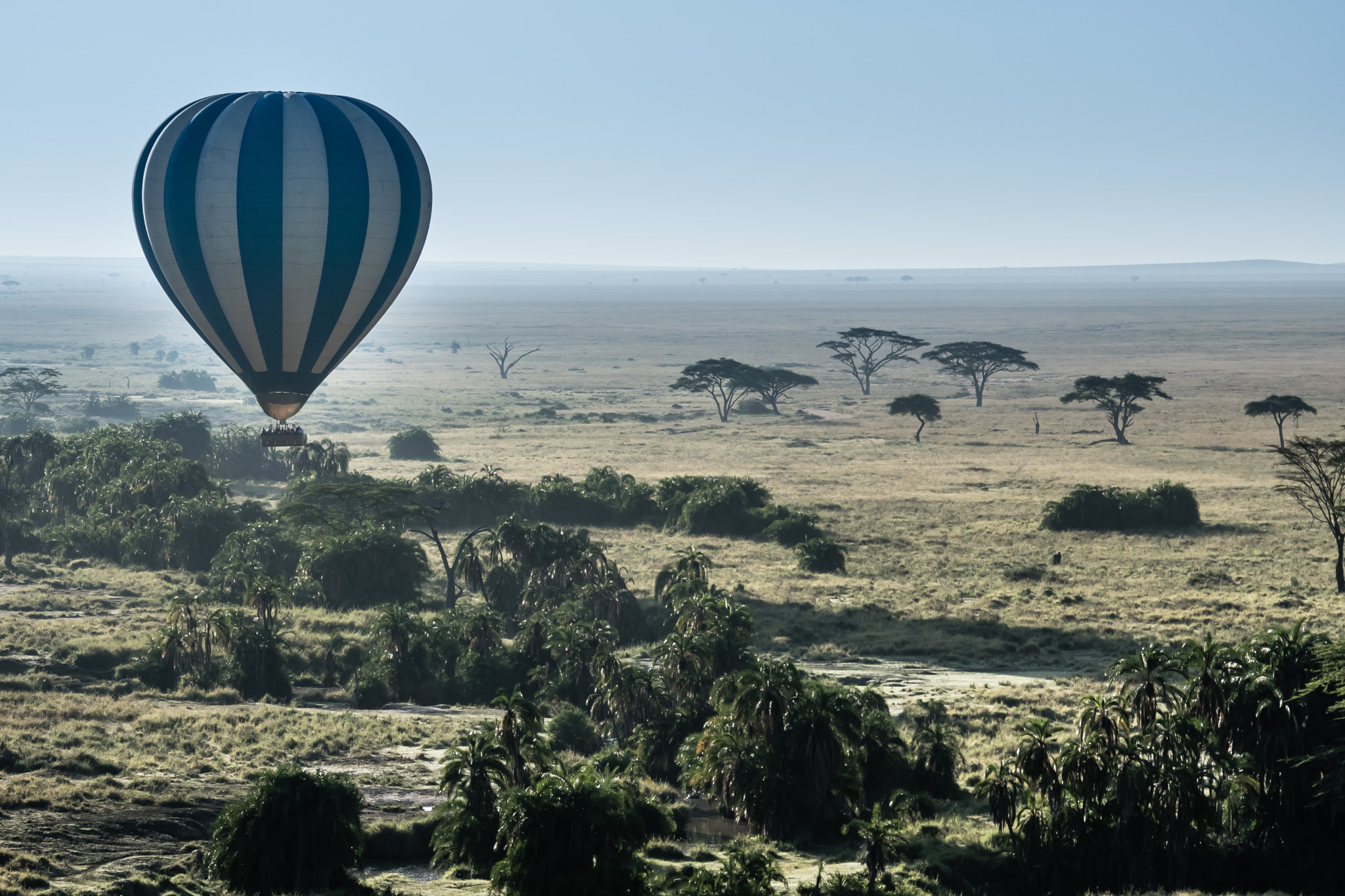 Sony ILCA-77M2 sample photo. Hot air balloon over serengeti photography