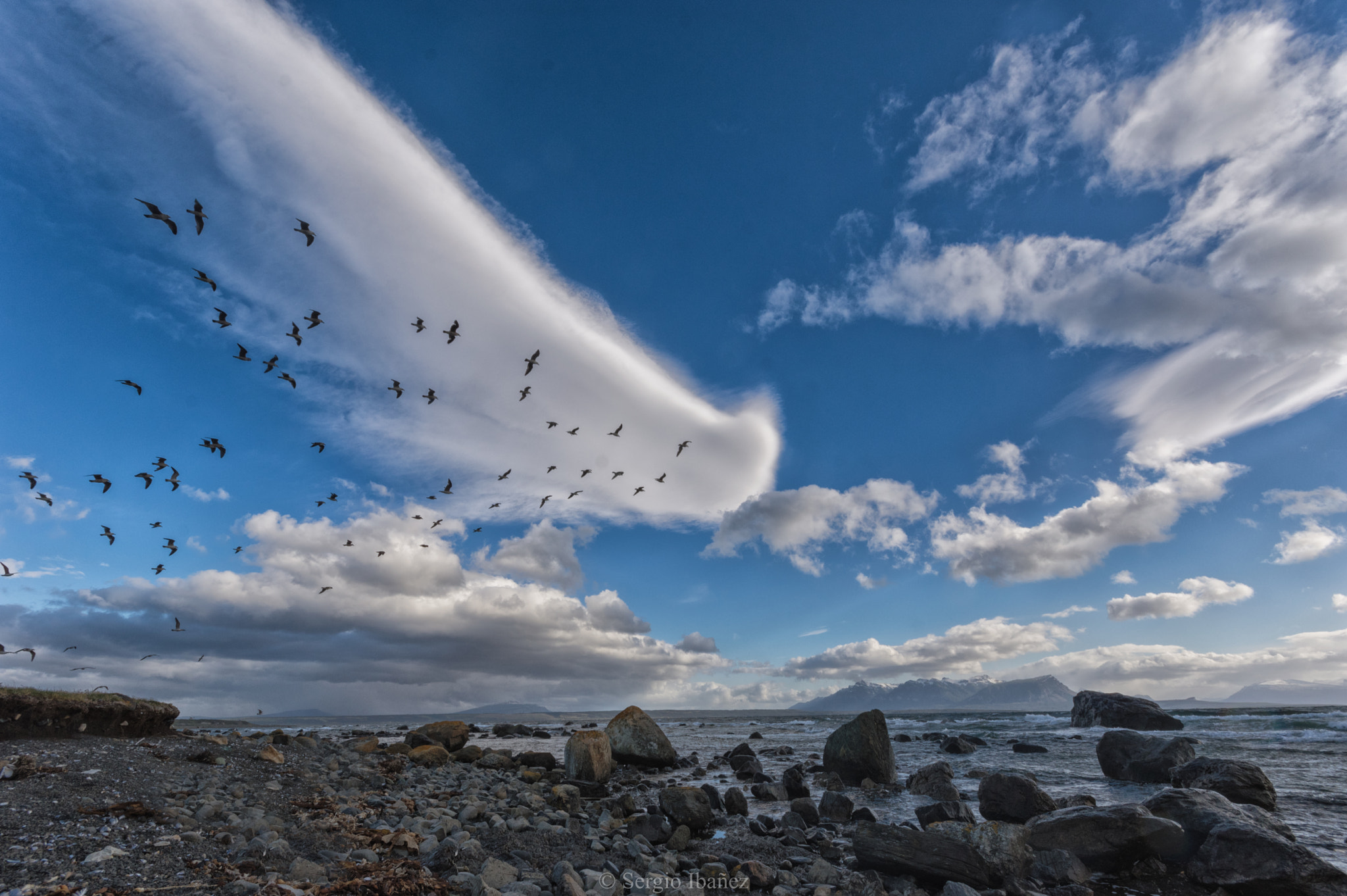 Pentax K-3 + Sigma AF 10-20mm F4-5.6 EX DC sample photo. Mar y gaviotas al vuelo photography