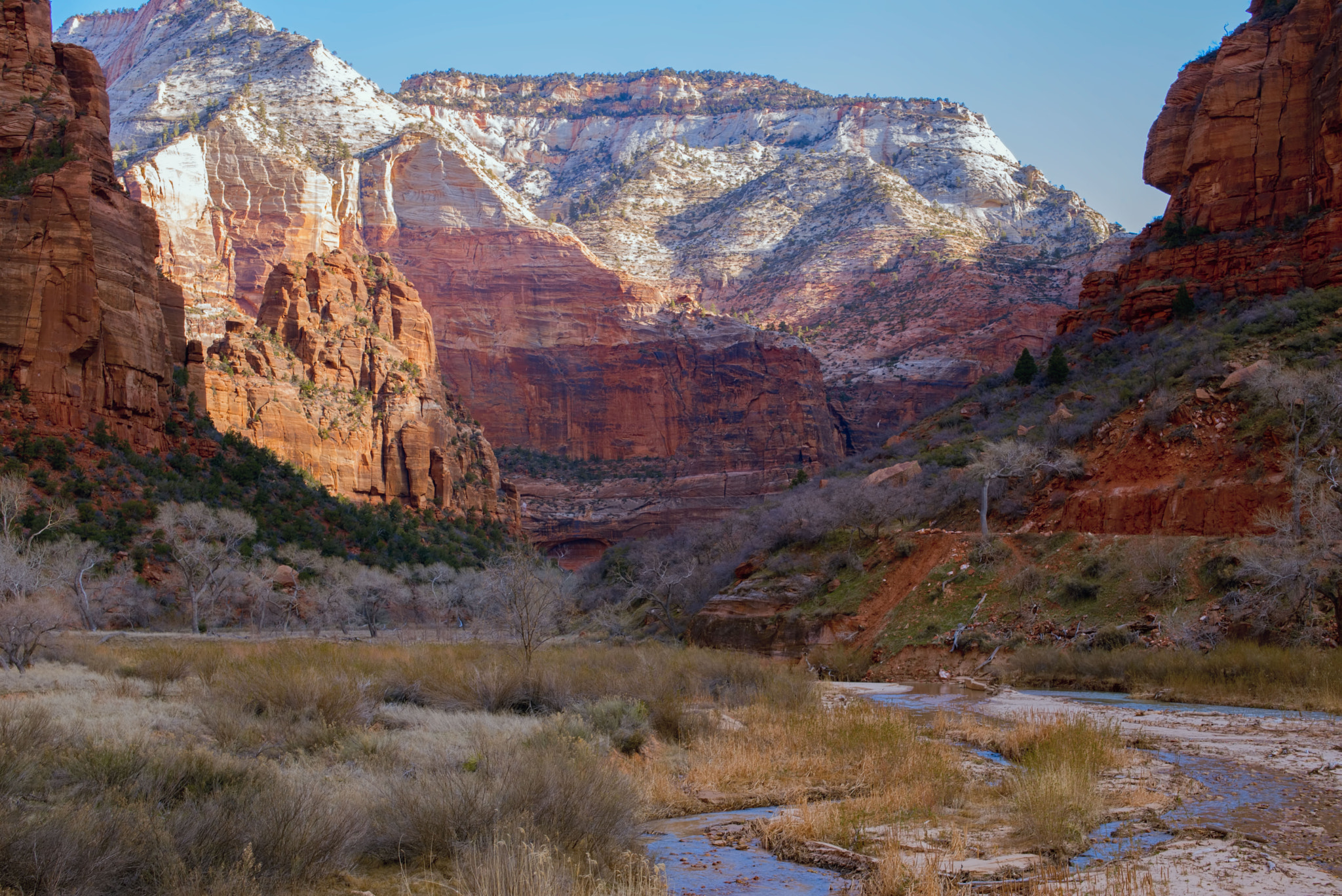Leica Summilux-M 50mm F1.4 ASPH sample photo. Virgin river - zion national park photography