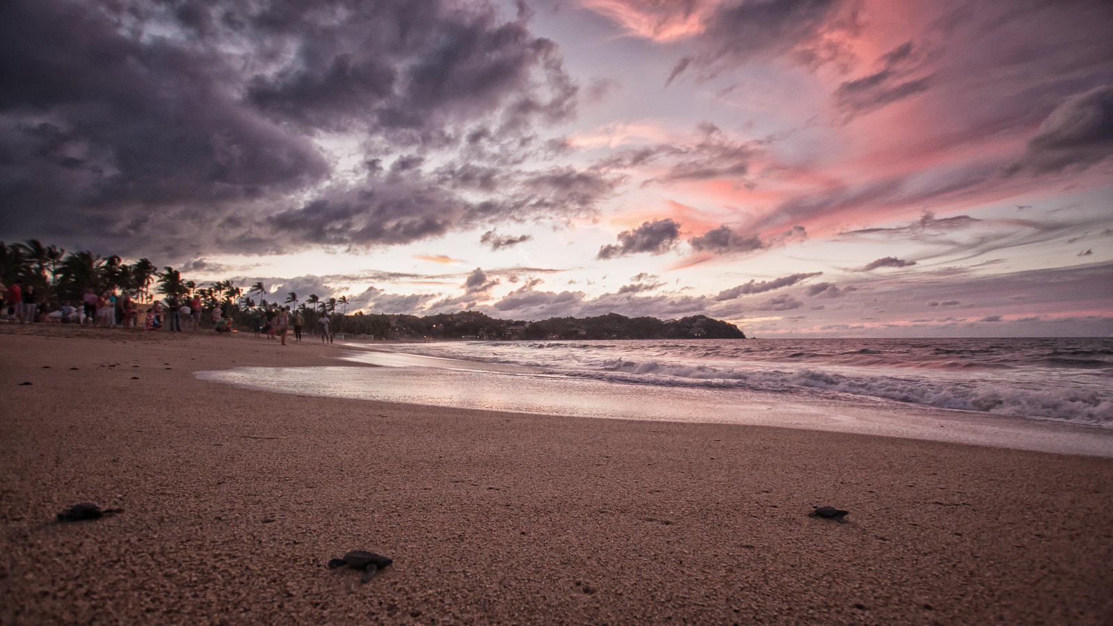 Nikon D90 + Sigma 10-20mm F3.5 EX DC HSM sample photo. Waiting for waves to carry them away photography