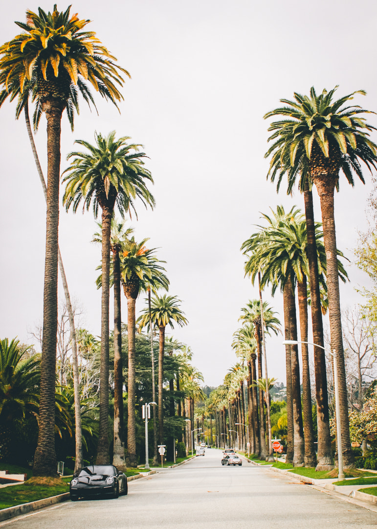 Canon EF 28mm F1.8 USM sample photo. Beverly hills, los angeles photography