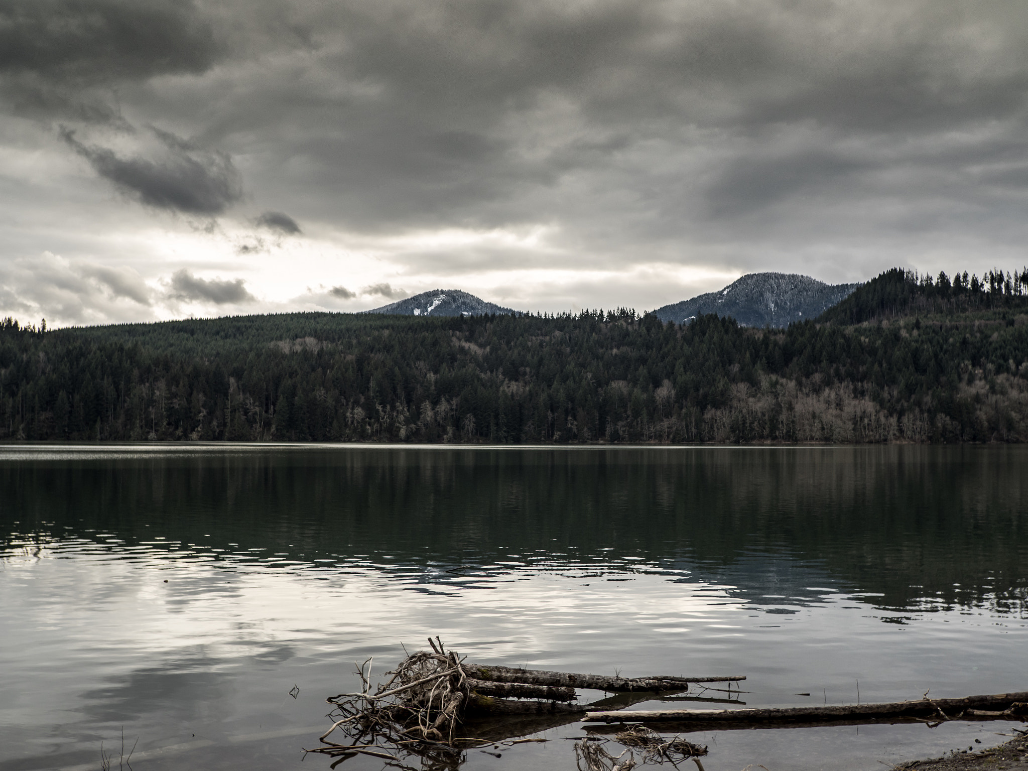 Olympus OM-D E-M5 II sample photo. Shot with a sigma 24mm with speedbooster on omd em5 mark ii. photography