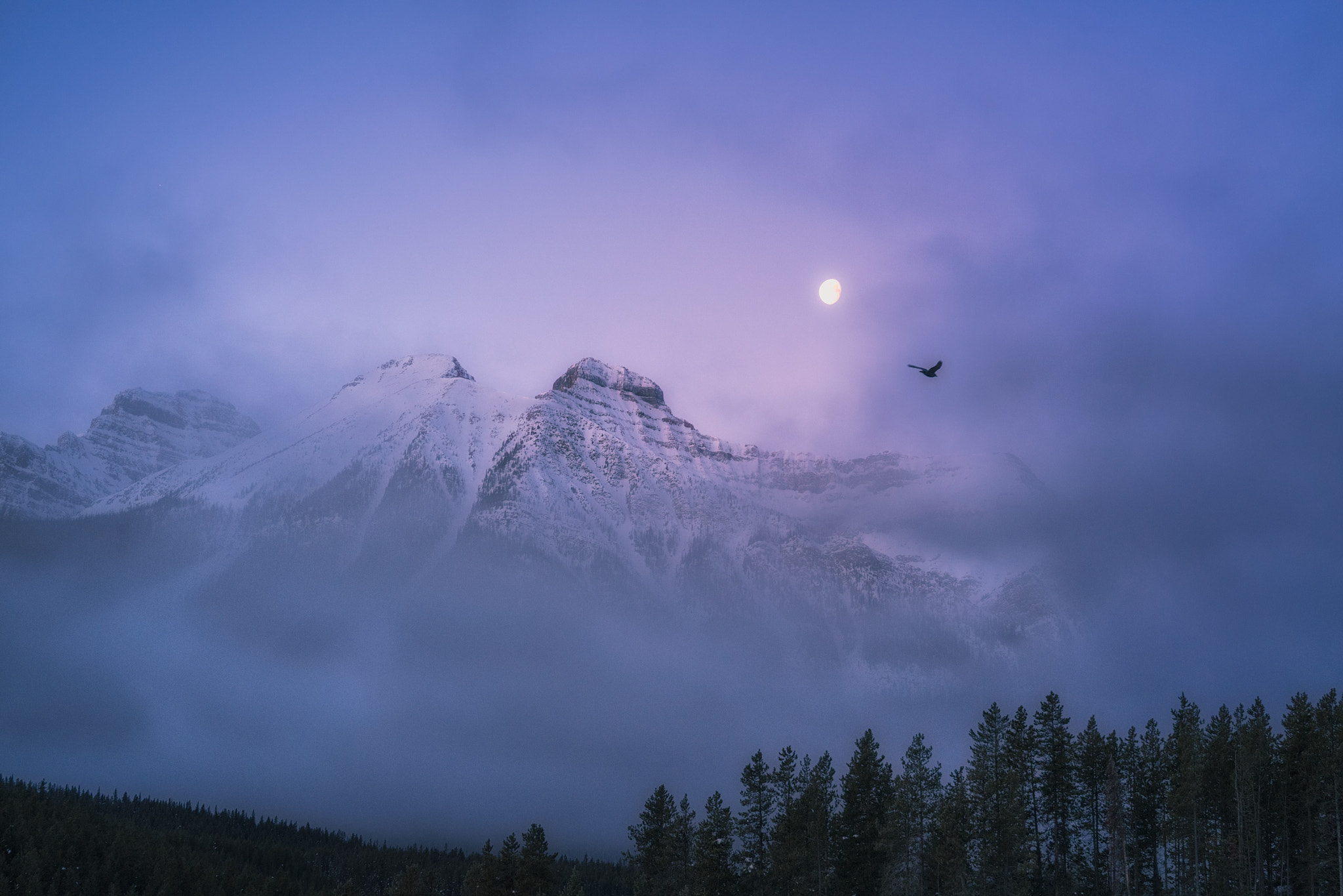 Sony a7R II + Sony FE 70-300mm F4.5-5.6 G OSS sample photo. Misty moonset photography