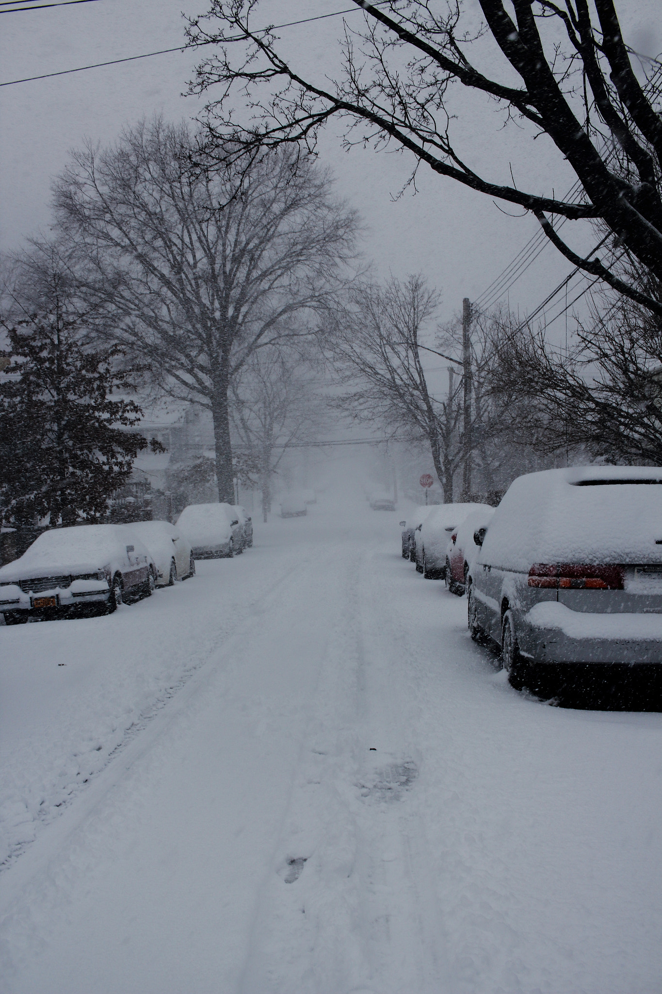 Canon EF-S 24mm F2.8 STM sample photo. Walking through the storm. photography