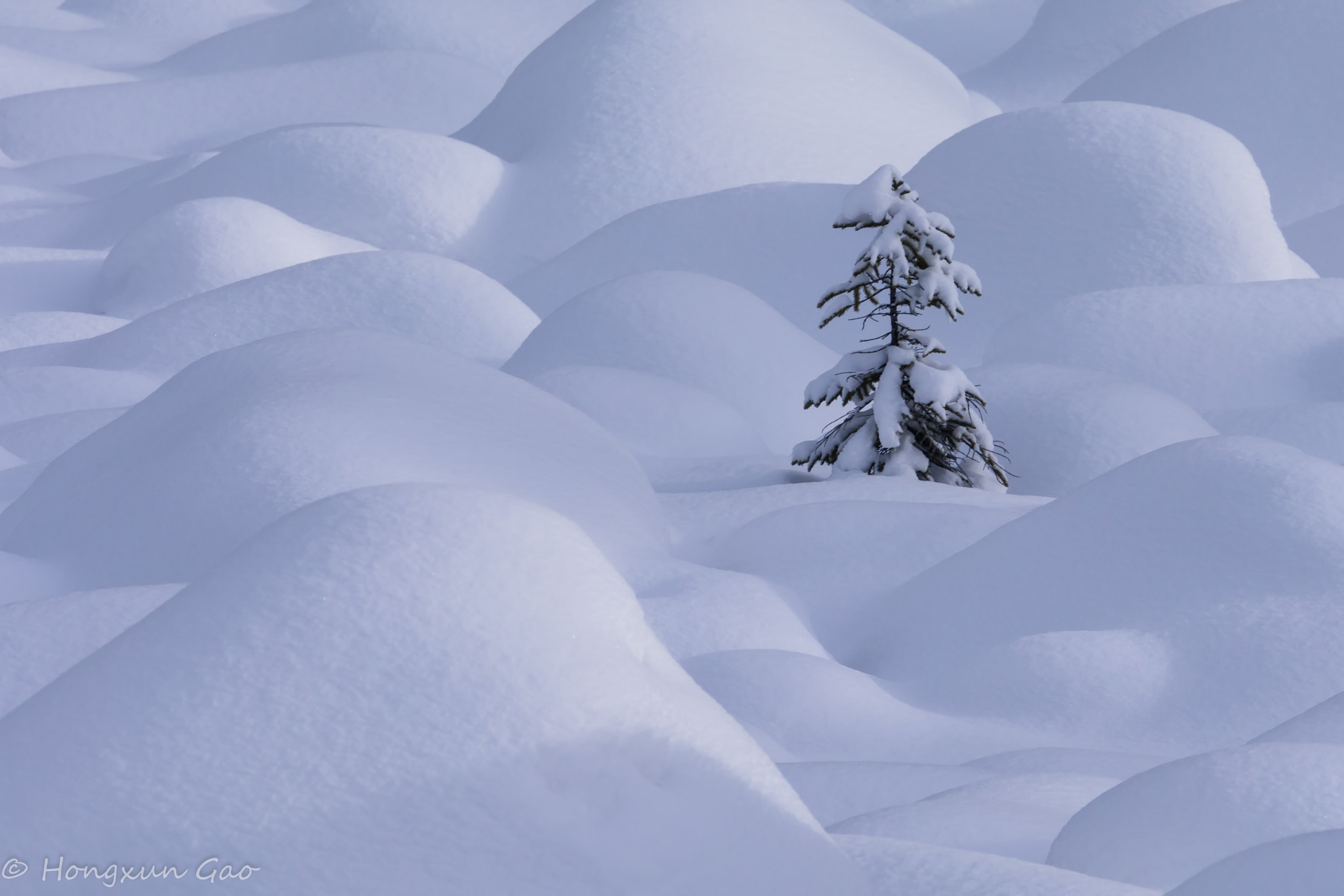 Canon EF 70-200mm F4L IS USM sample photo. Lone tree photography