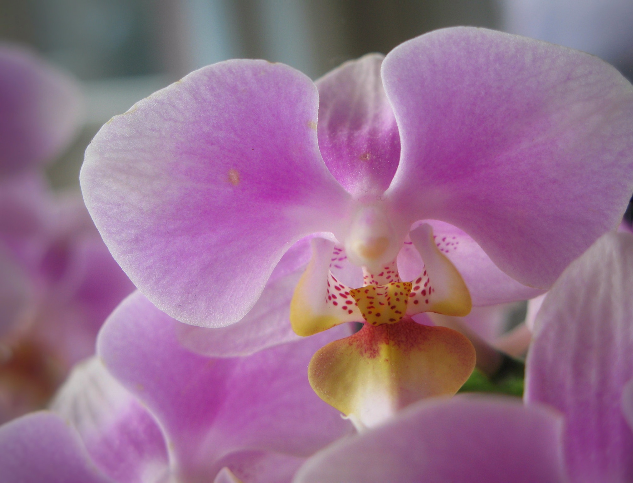 Canon POWERSHOT G7 sample photo