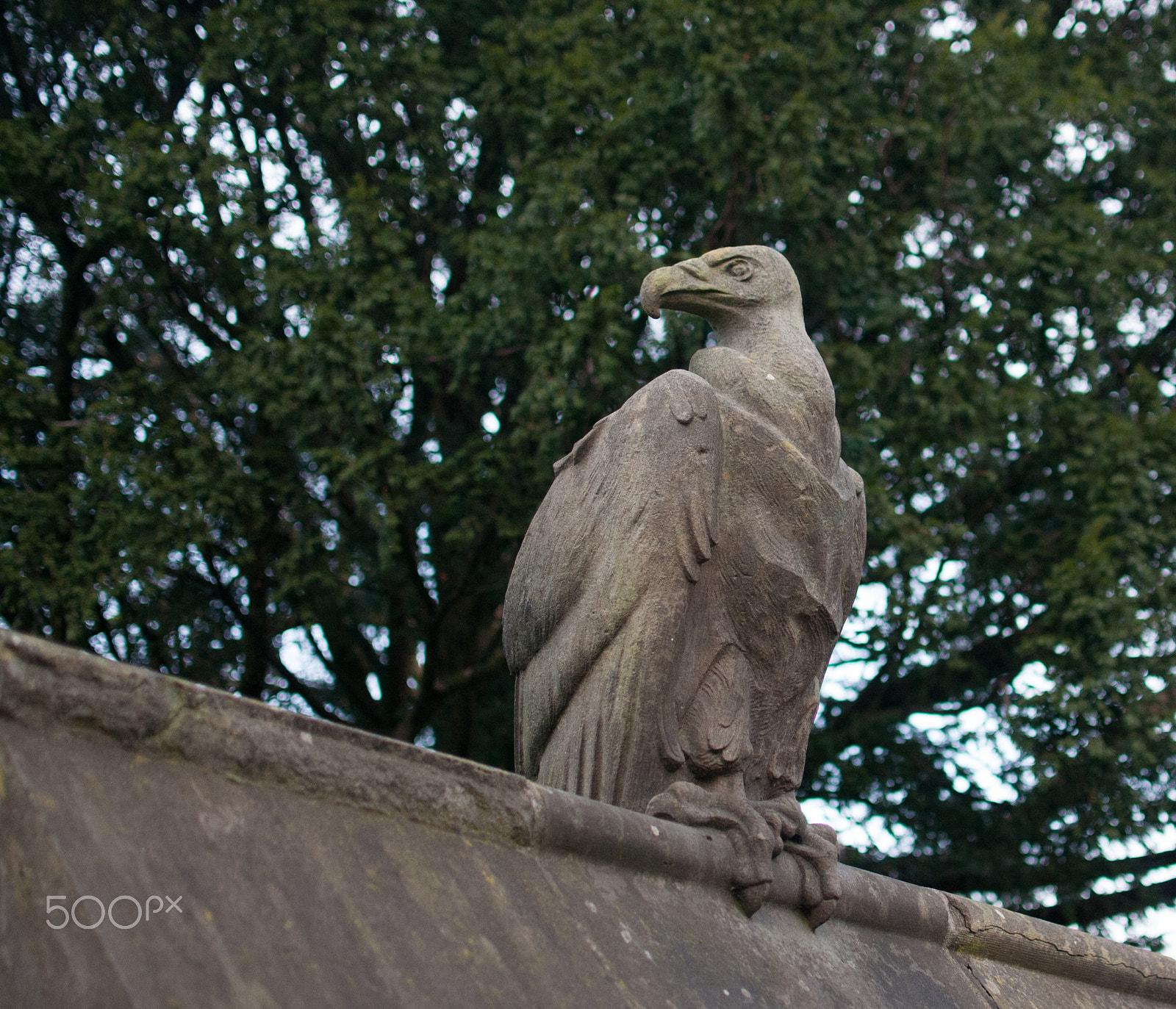 Nikon D300S + Nikon AF-S DX Nikkor 35mm F1.8G sample photo. On the lookout photography