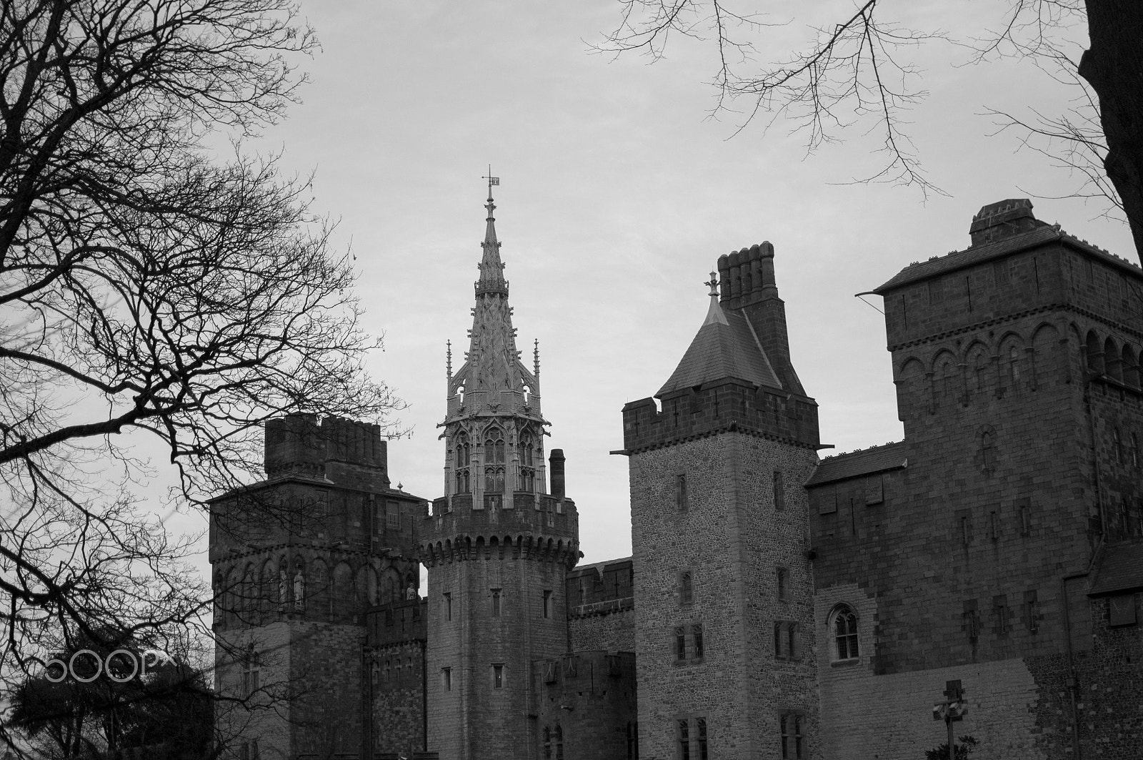 Nikon D300S + Nikon AF-S DX Nikkor 35mm F1.8G sample photo. Cardiff castle photography