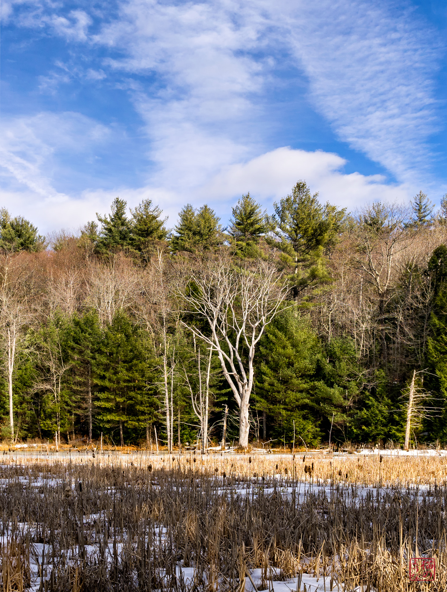 Sony a7 + Sony Sonnar T* E 24mm F1.8 ZA sample photo. Interloper photography