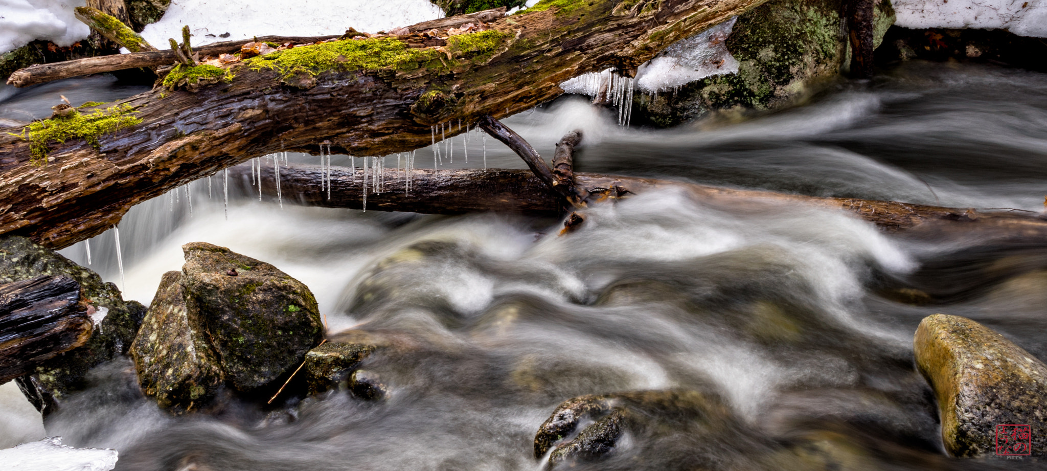 Sony a7 + Sony Sonnar T* E 24mm F1.8 ZA sample photo. Icy log photography