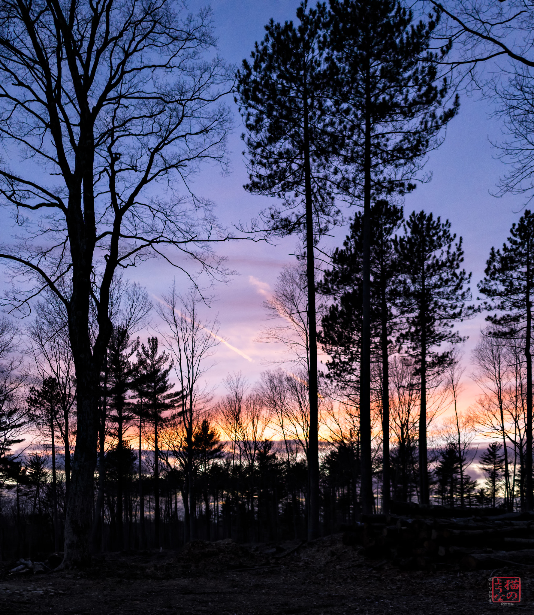 Sony a7 sample photo. Sunset silhouettes photography