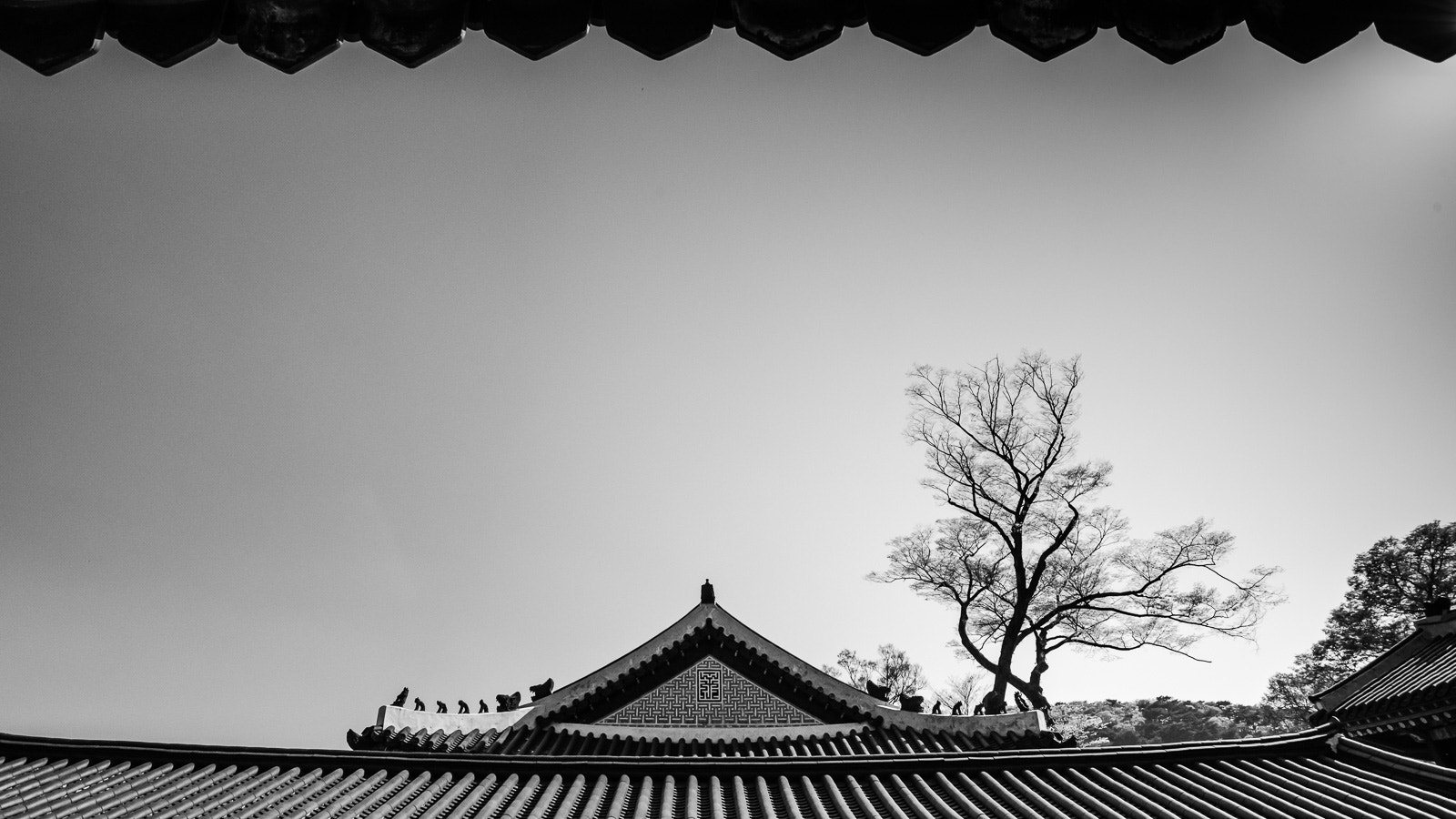 Nikon D750 sample photo. Old palace, namhansanseong, korea photography