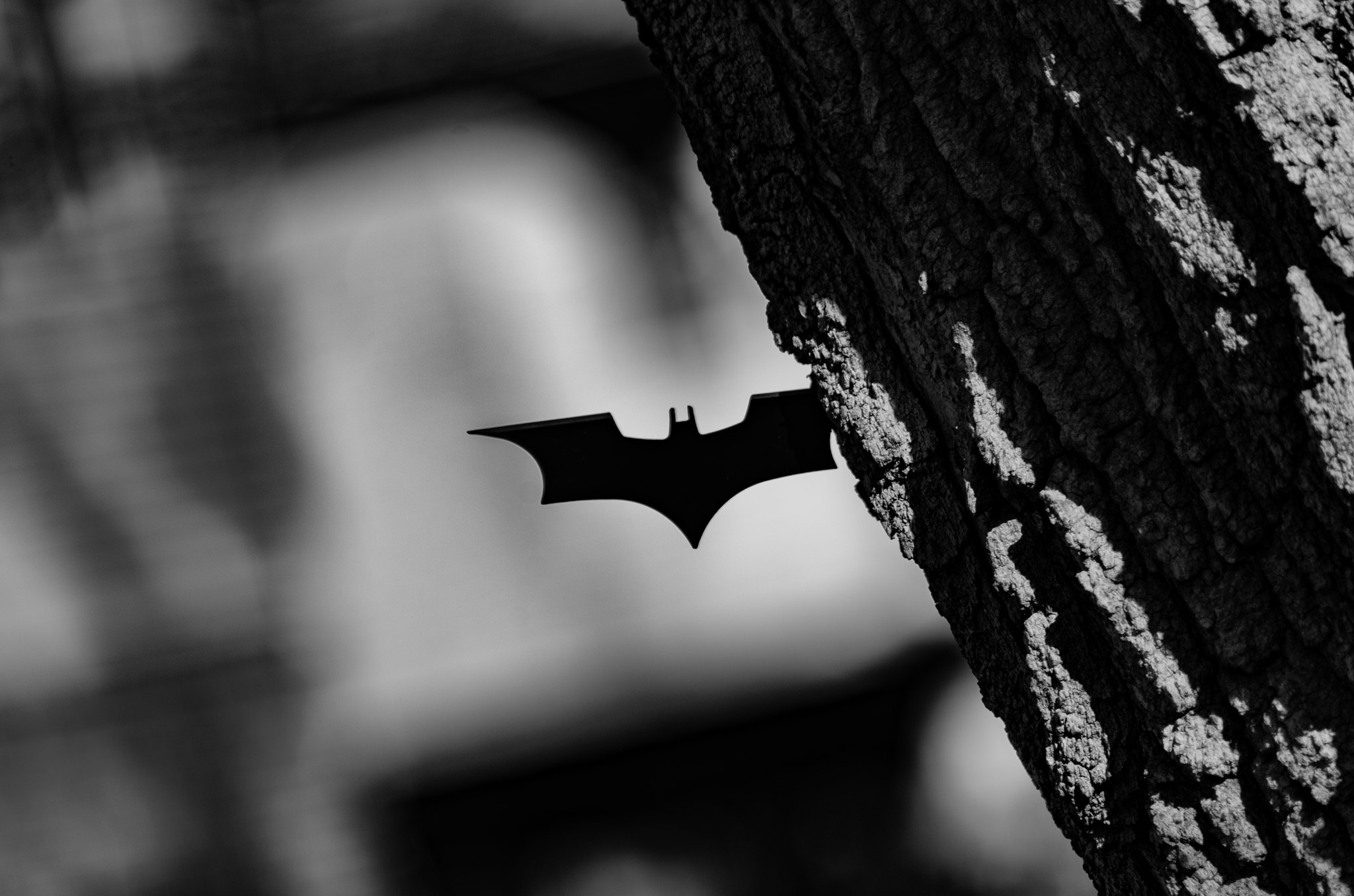 Pentax K-50 sample photo. Batman photography