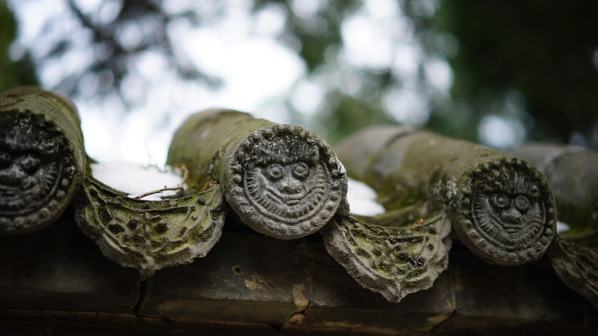 Sony a7S + Sony Sonnar T* FE 55mm F1.8 ZA sample photo. Dsc photography