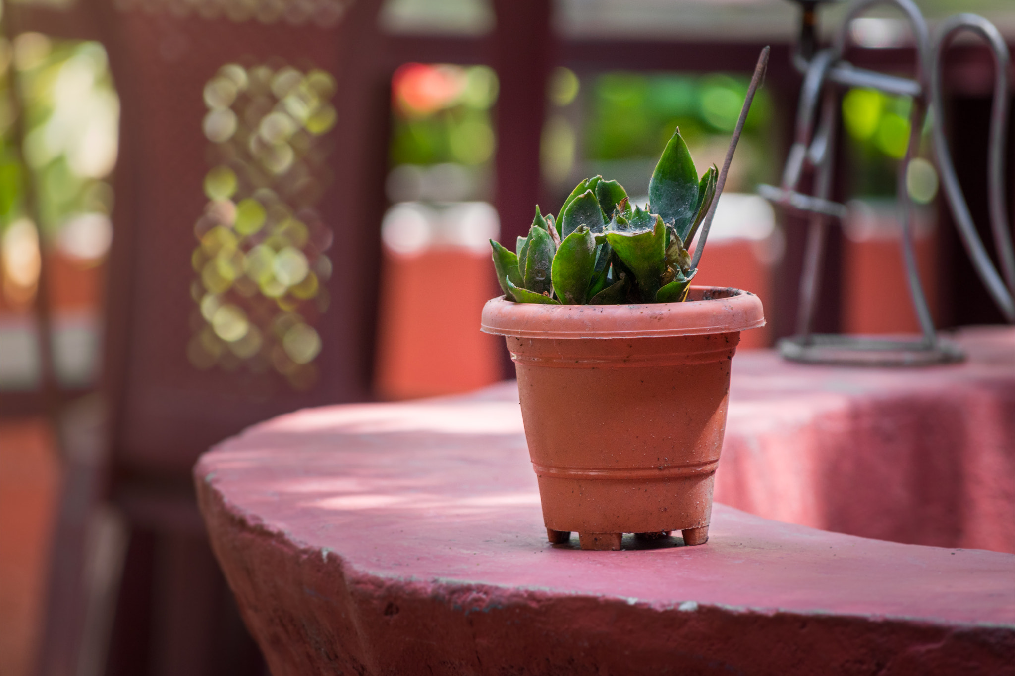 Nikon D5500 sample photo. Tranquilidad photography