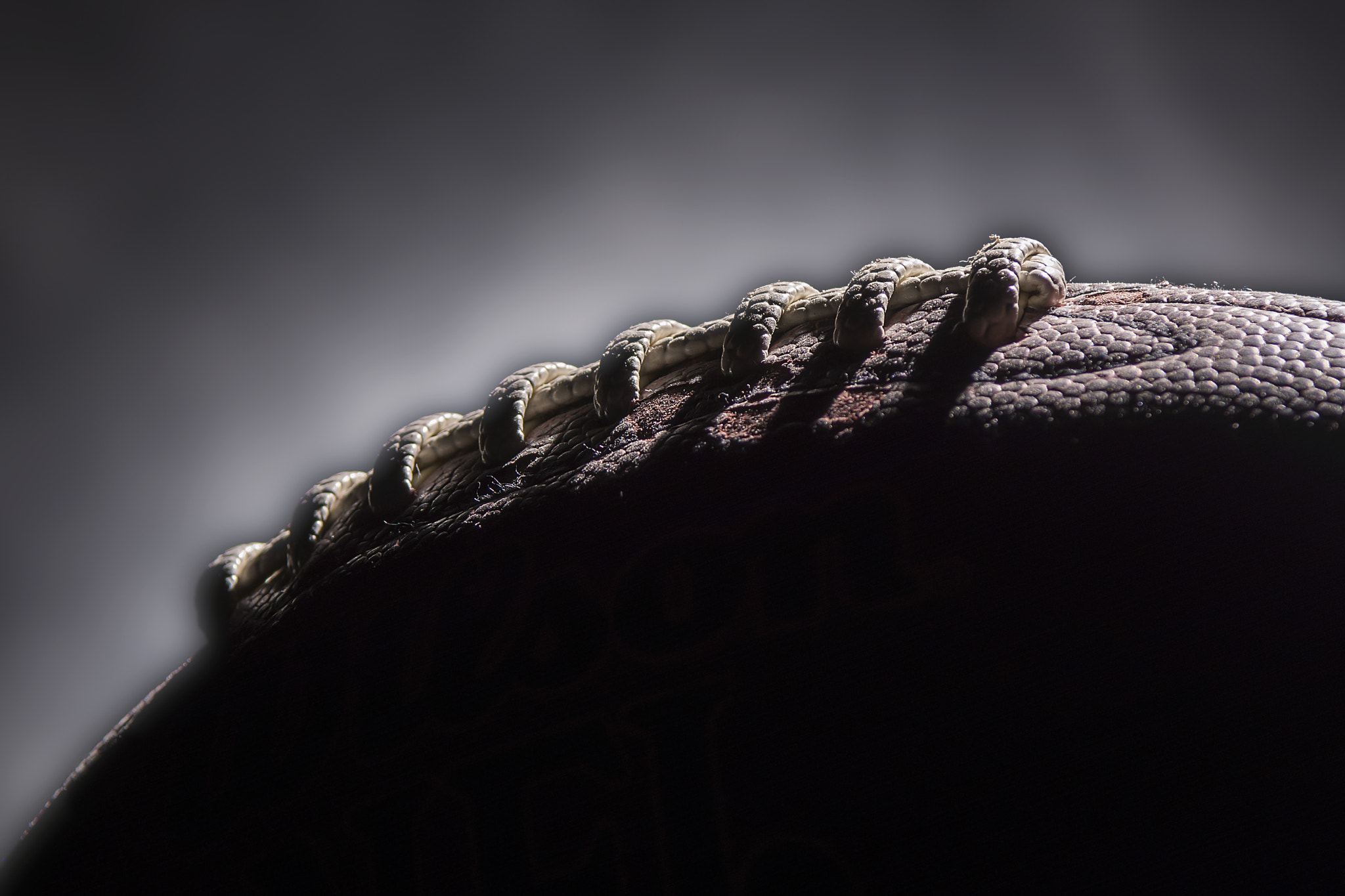 Nikon AF-S Nikkor 28-70mm F2.8 ED-IF sample photo. A football photography