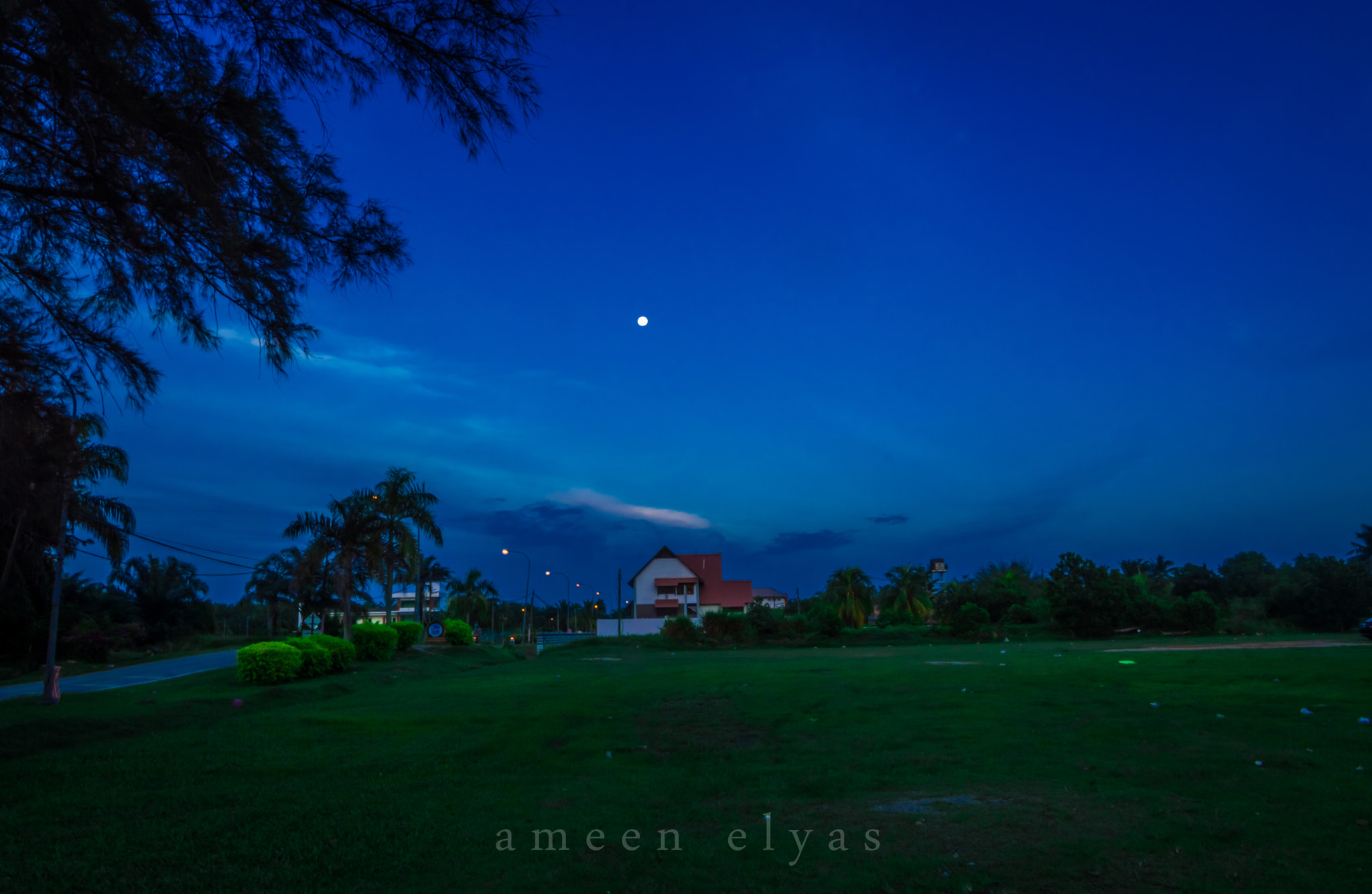 Nikon D3200 sample photo. Horrison photography