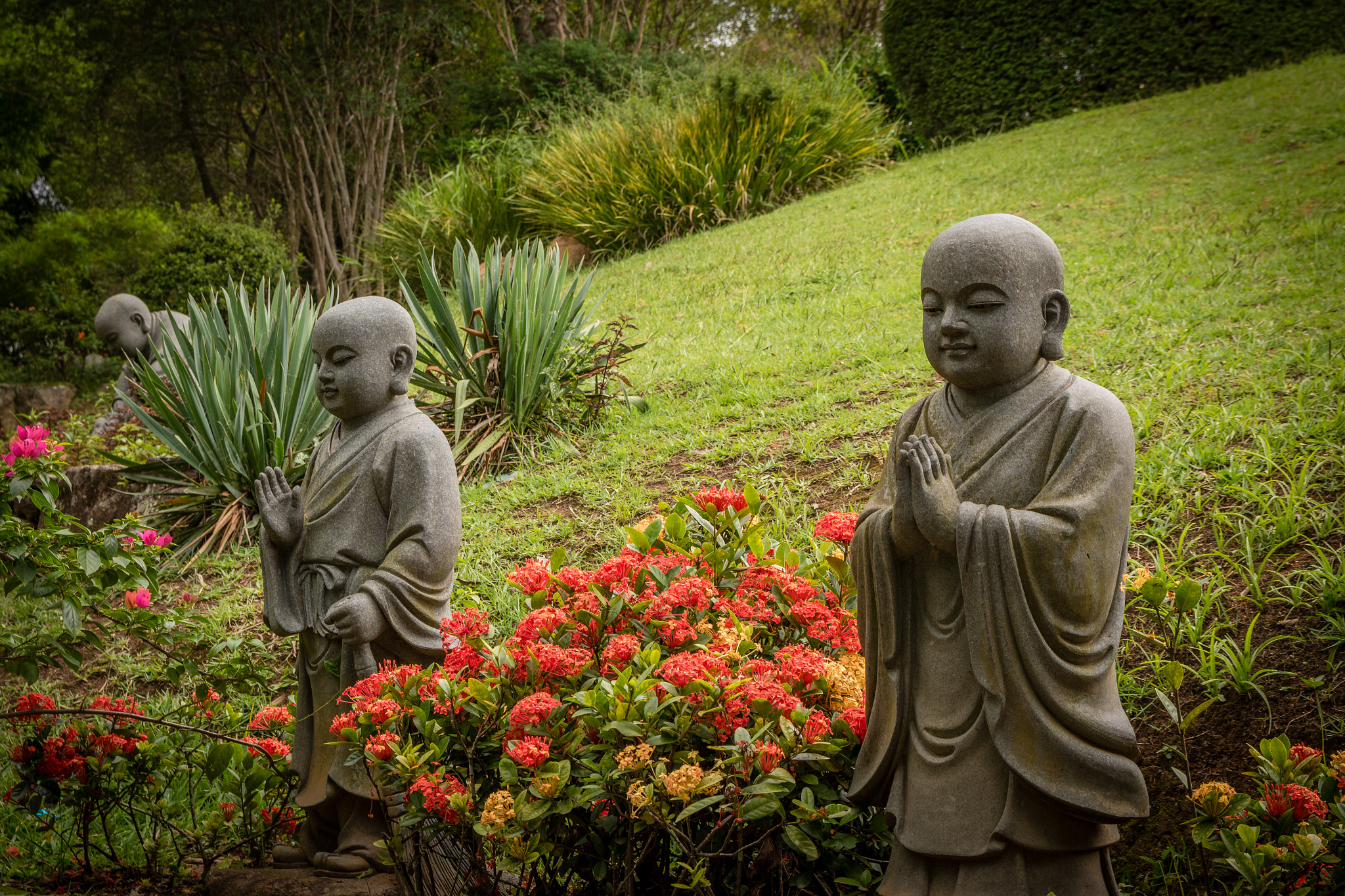 Sigma 17-50mm F2.8 EX DC OS HSM sample photo. Monks photography