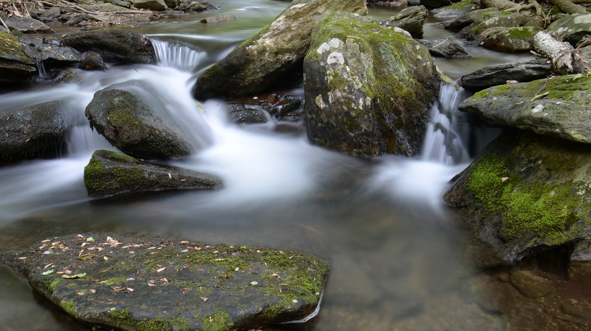 Nikon D610 sample photo. Morning in catoctin maountains photography