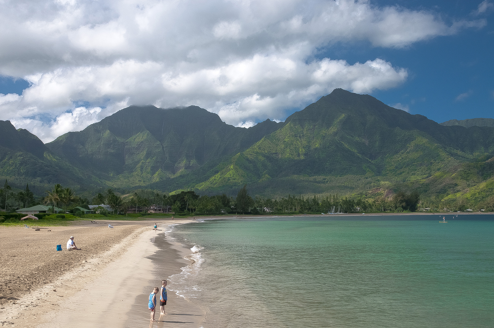 Nikon D300S sample photo. Hanalei bay photography