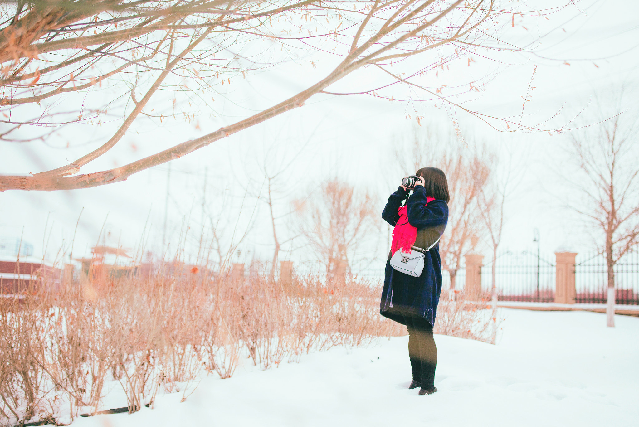 Canon EF 35mm F1.4L II USM sample photo. My way photography
