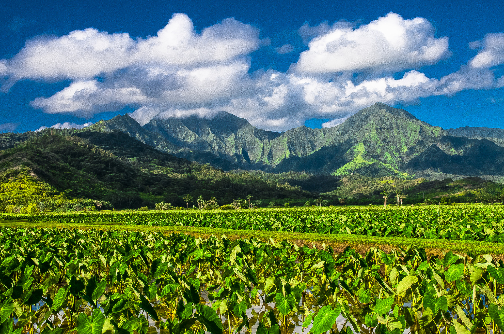 Nikon D300S sample photo. Mountain view 2 photography