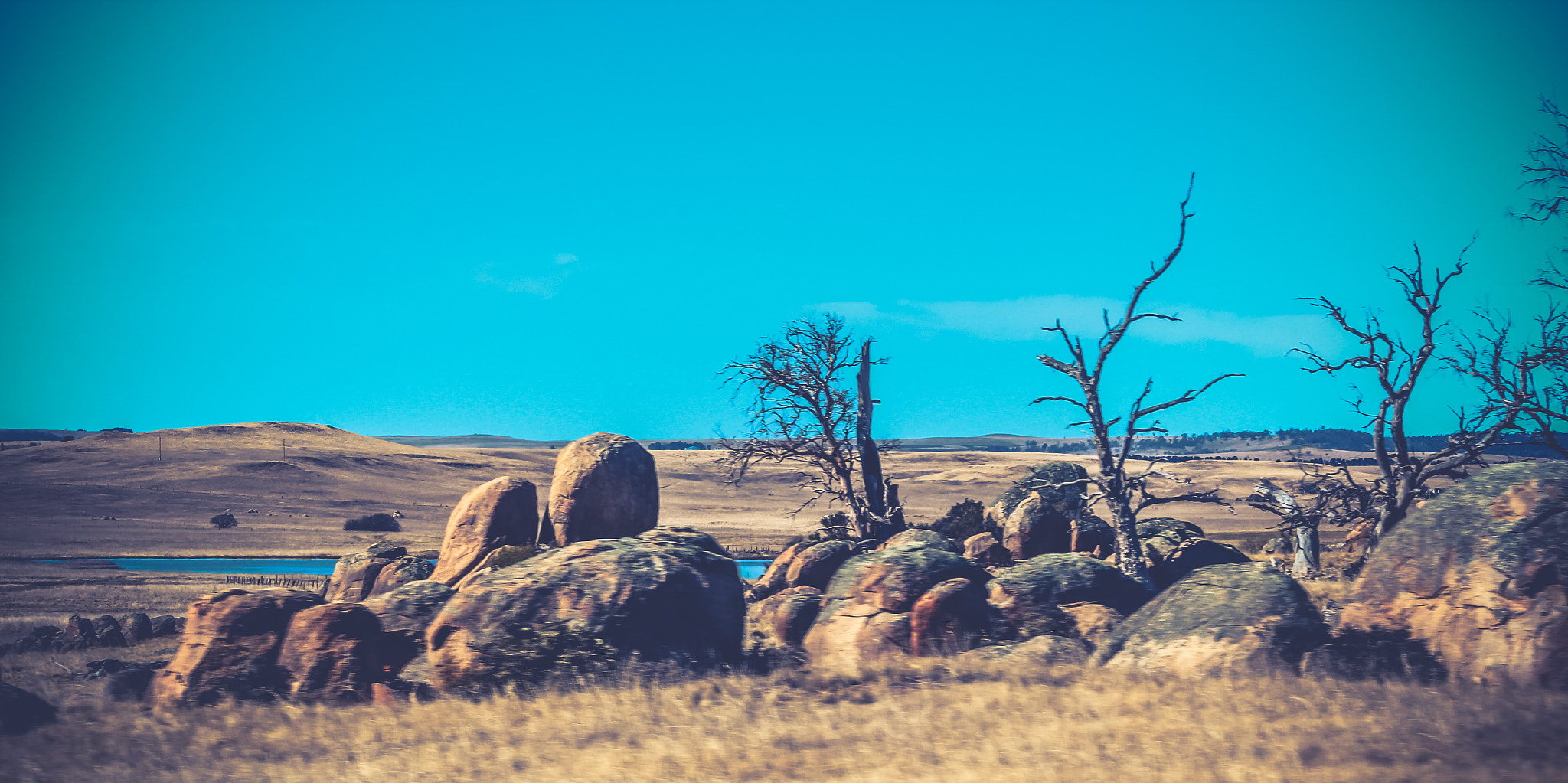 Canon EF-S 55-250mm F4-5.6 IS sample photo. Barren photography