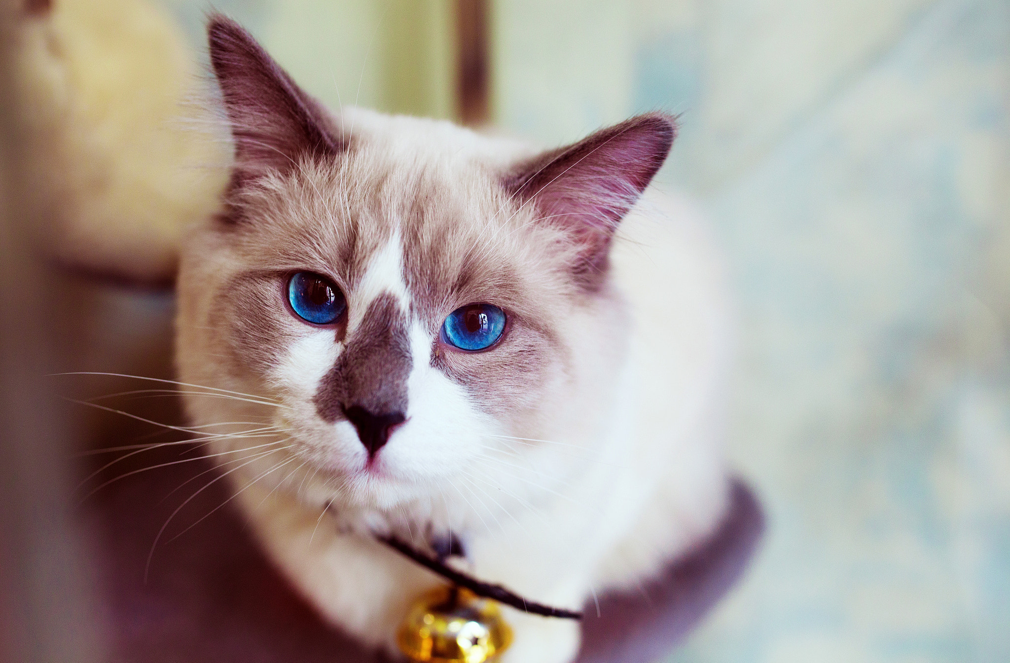 Canon EF 35mm F1.4L II USM sample photo. My life photography