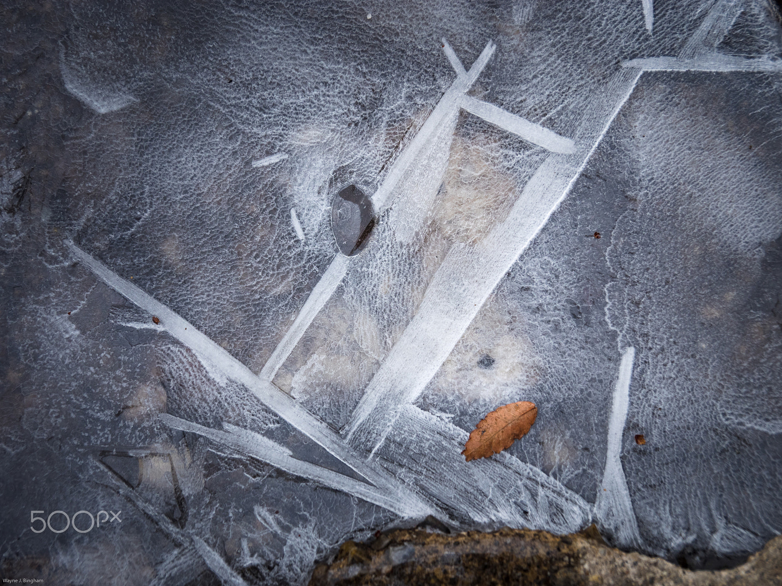 OLYMPUS M.14-150mm F4.0-5.6 II sample photo. Leaf - stone - ice photography