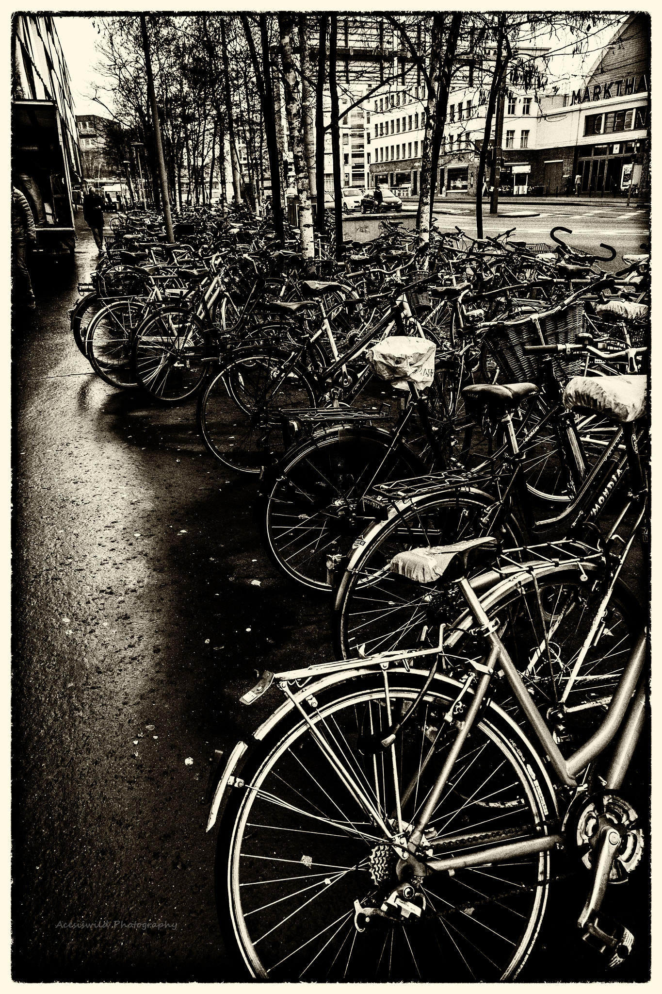 Fujifilm XC 16-50mm F3.5-5.6 OIS sample photo. Bikes photography