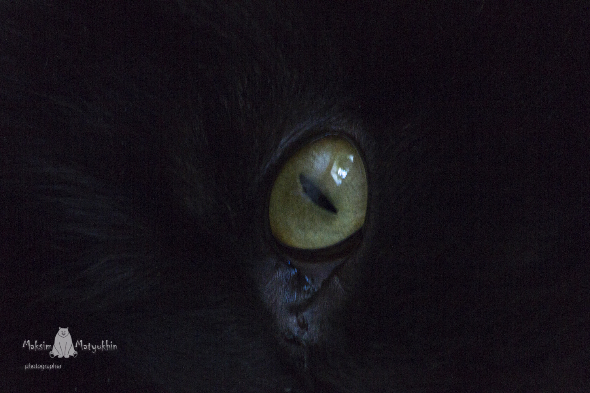 Sigma 70-300mm F4-5.6 APO DG Macro sample photo. Eye photography
