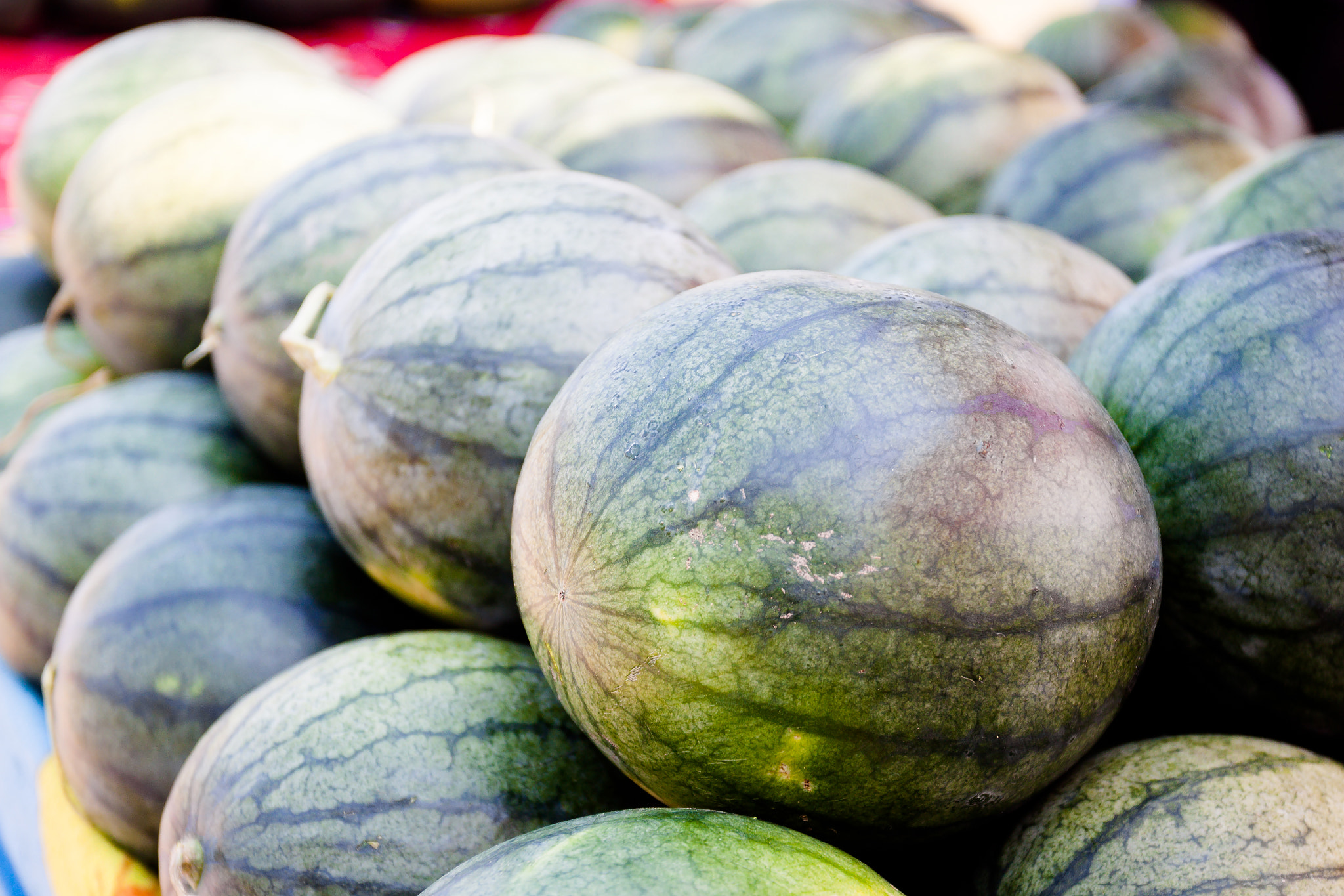 Canon EF 17-40mm F4L USM sample photo. Fresh watermelon photography
