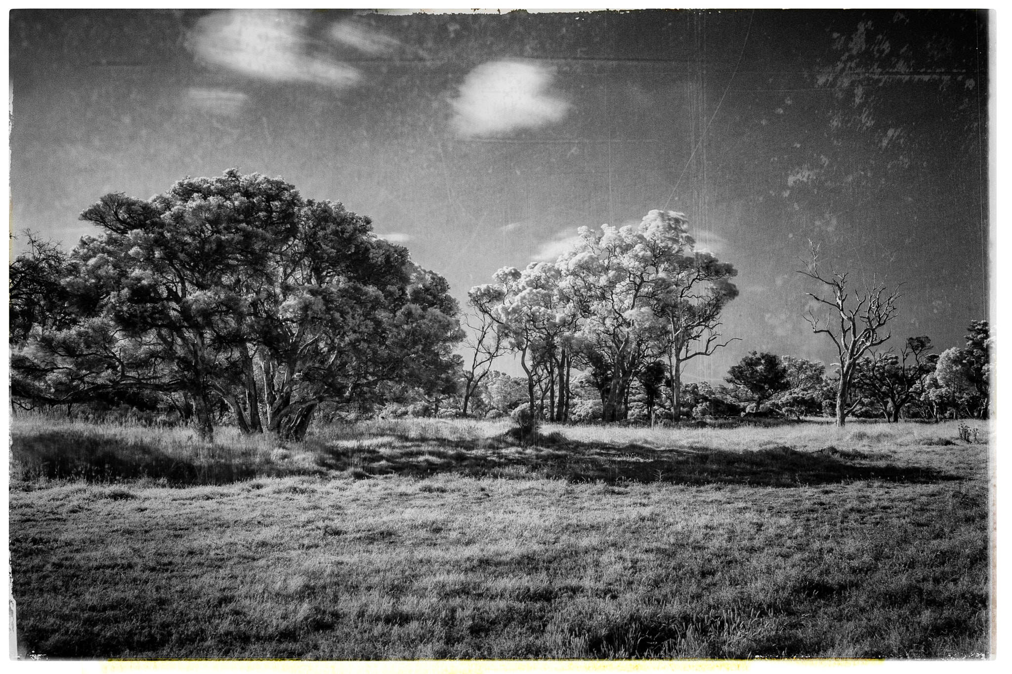 Canon EOS 40D sample photo. Edit edit photography