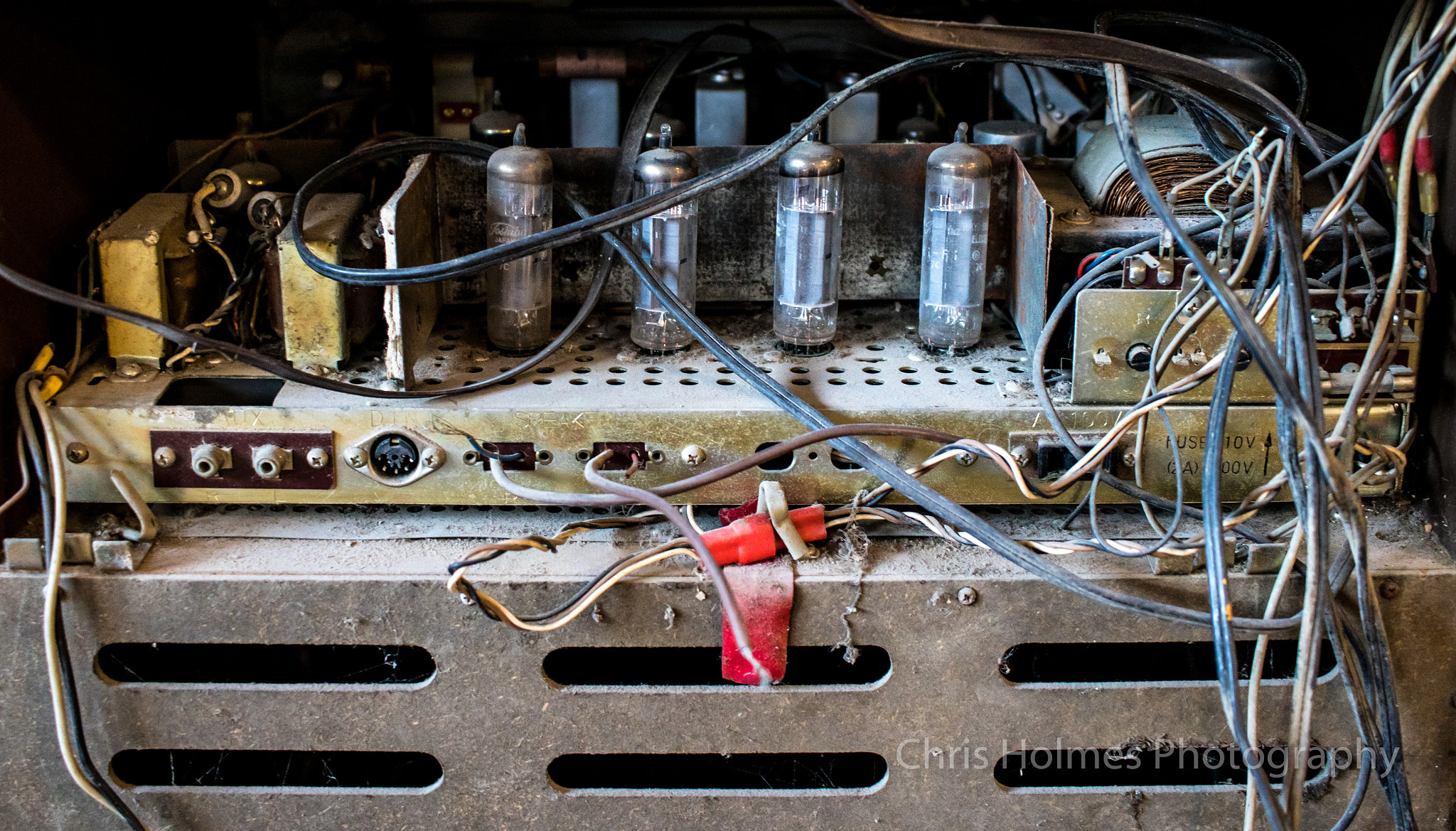 Canon EF-S 24mm F2.8 STM sample photo. Tube photography