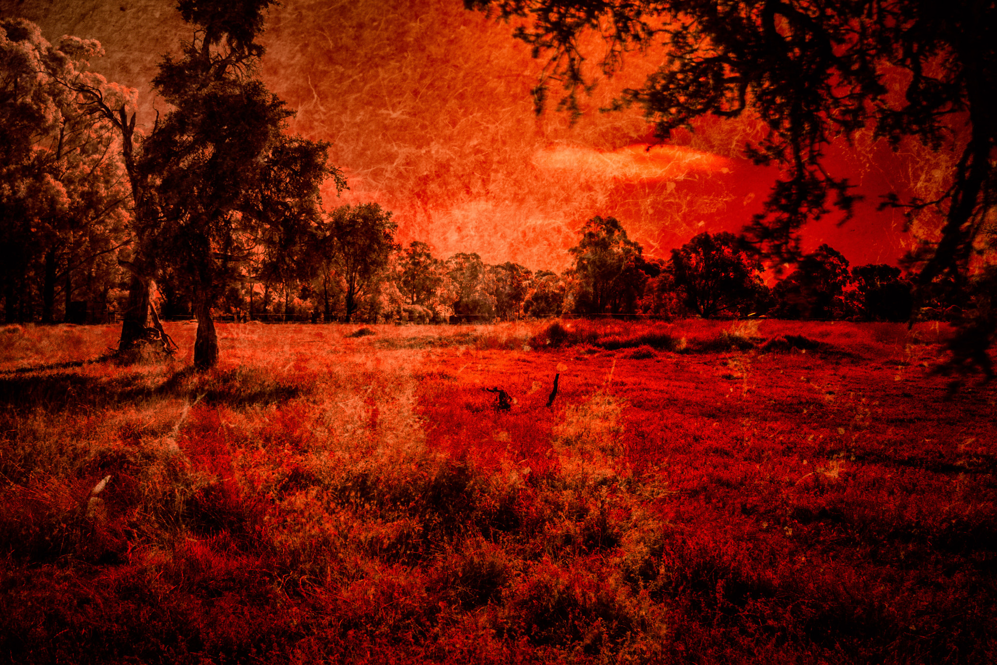 Canon EOS 40D sample photo. Edit edit photography