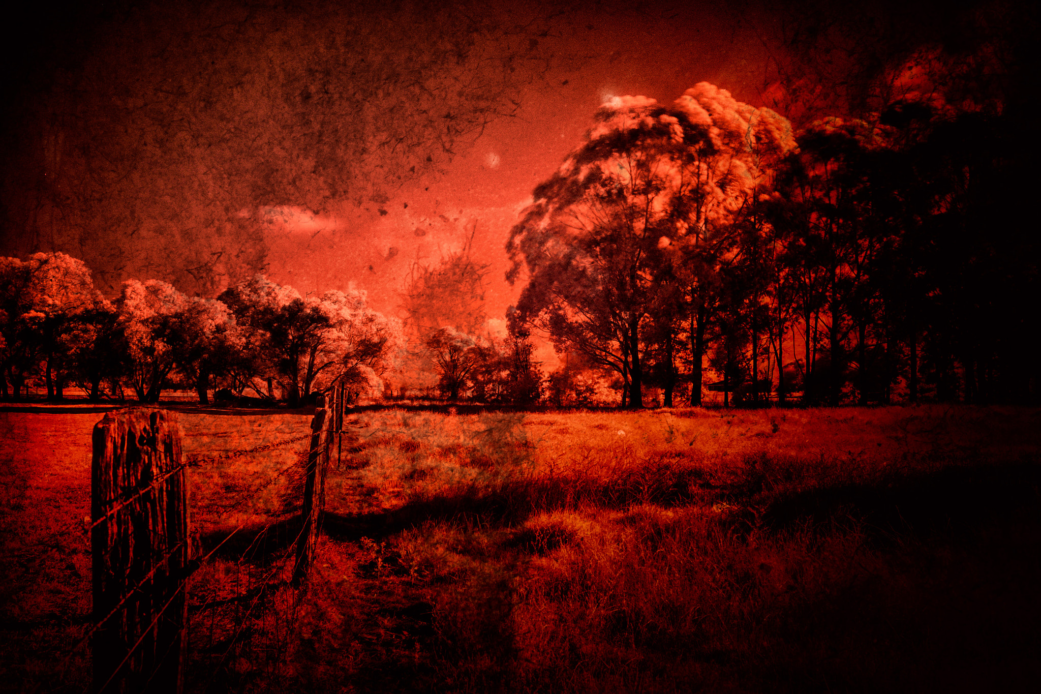 Canon EOS 40D sample photo. Edit edit photography