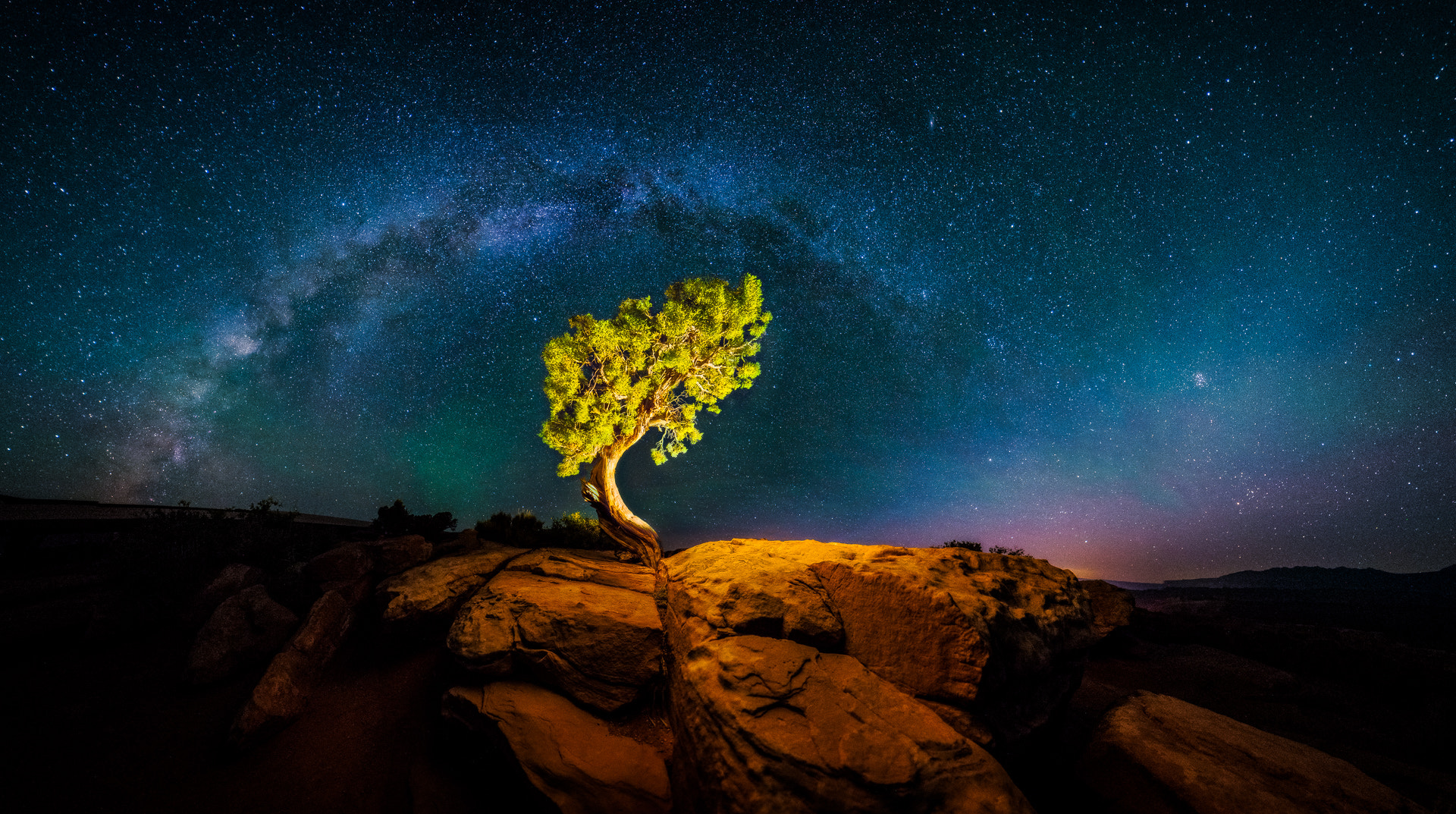 Samyang 14mm F2.8 ED AS IF UMC sample photo. A good night to be a tree photography