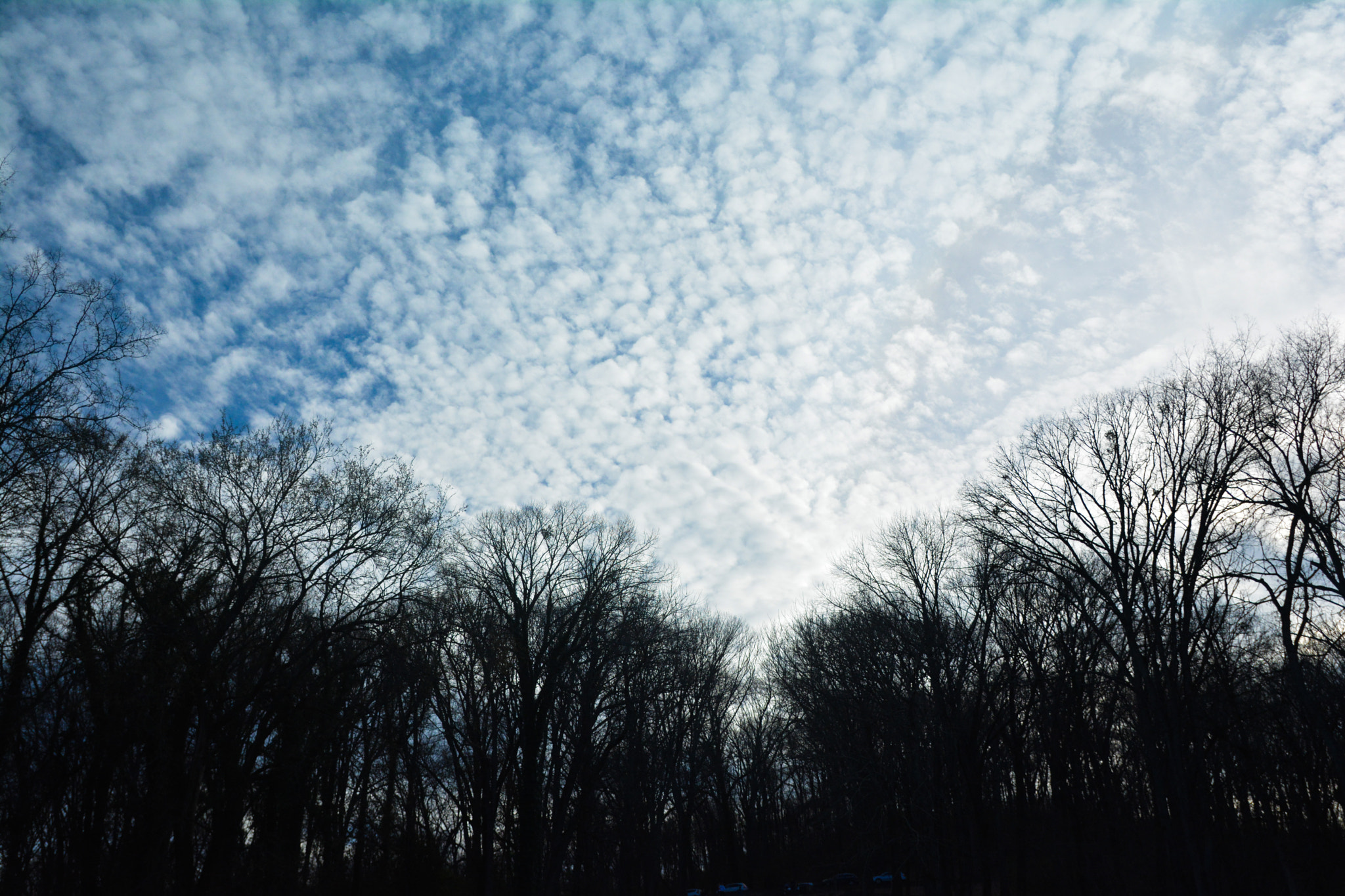 Sigma 17-50mm F2.8 EX DC OS HSM sample photo. Sky is the limit photography