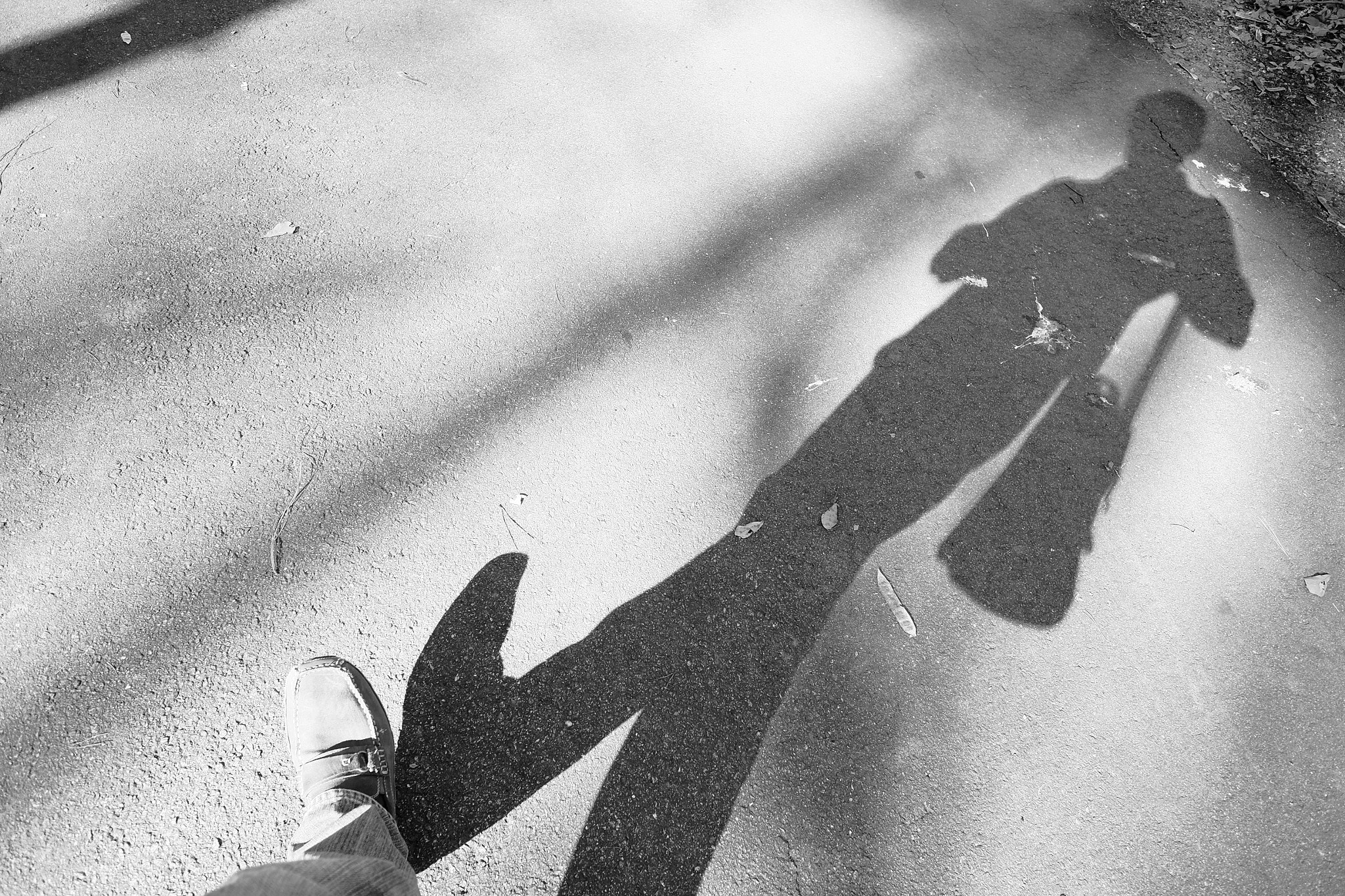 Fujifilm X-T1 + Fujifilm XF 14mm F2.8 R sample photo