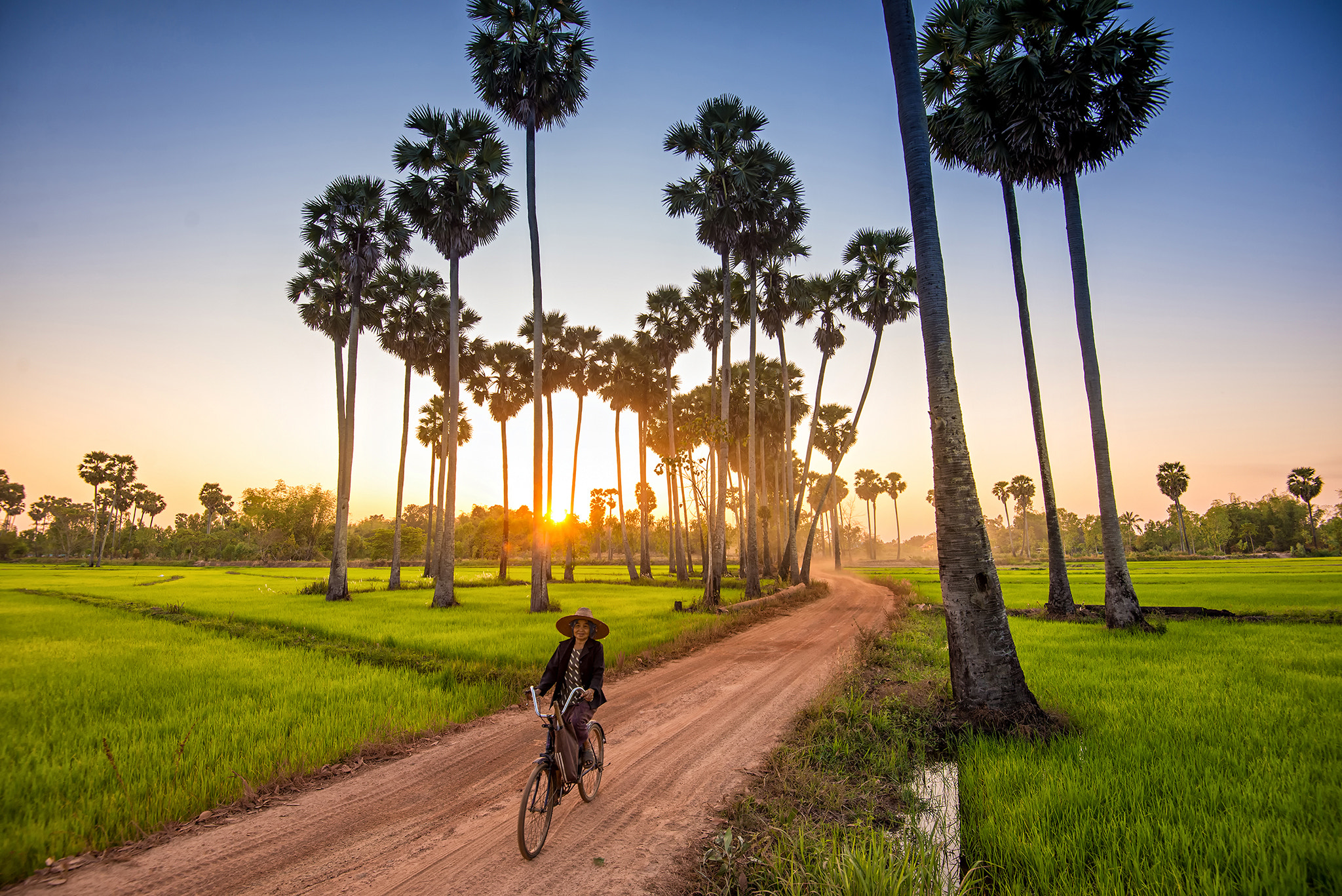 Nikon AF-S Nikkor 16-35mm F4G ED VR sample photo. Riding bicycle to go home . photography