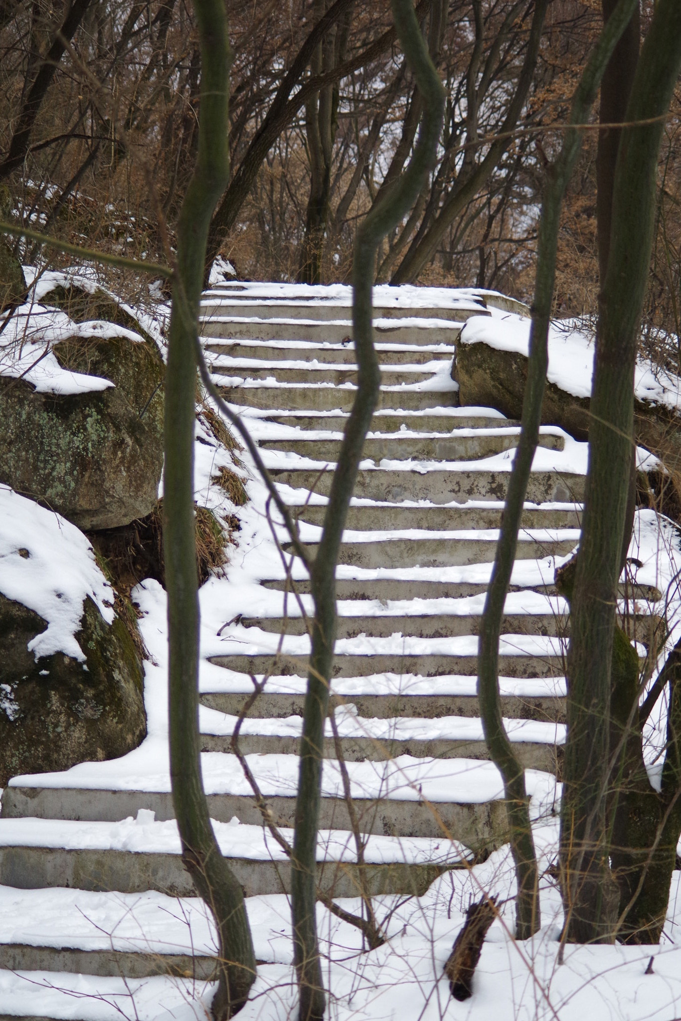 HD Pentax DA 55-300mm F4.0-5.8 ED WR sample photo. Shaohua mountain  photography