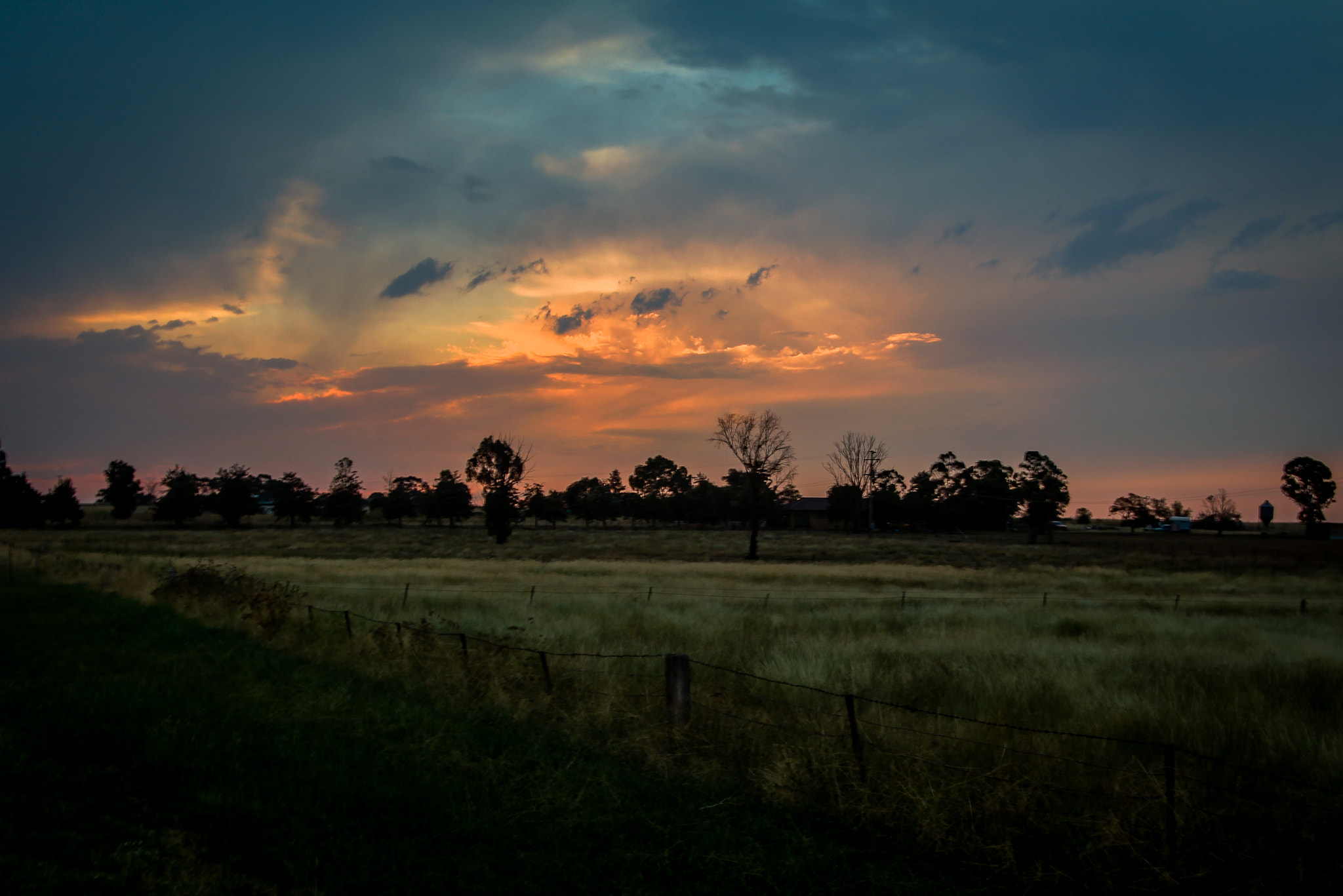 Canon EOS 650D (EOS Rebel T4i / EOS Kiss X6i) sample photo. Natures colour photography