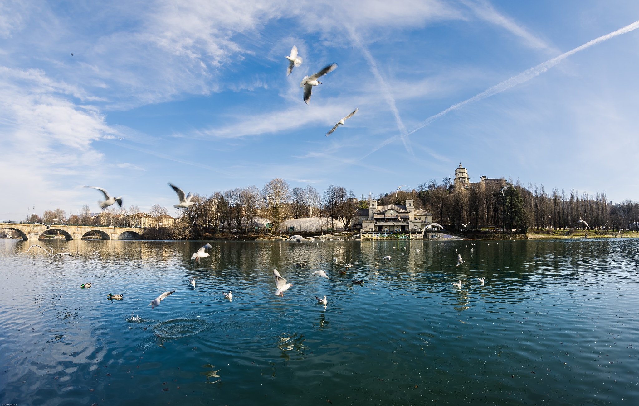 Samyang 8mm F3.5 Aspherical IF MC Fisheye sample photo. Blue city... photography