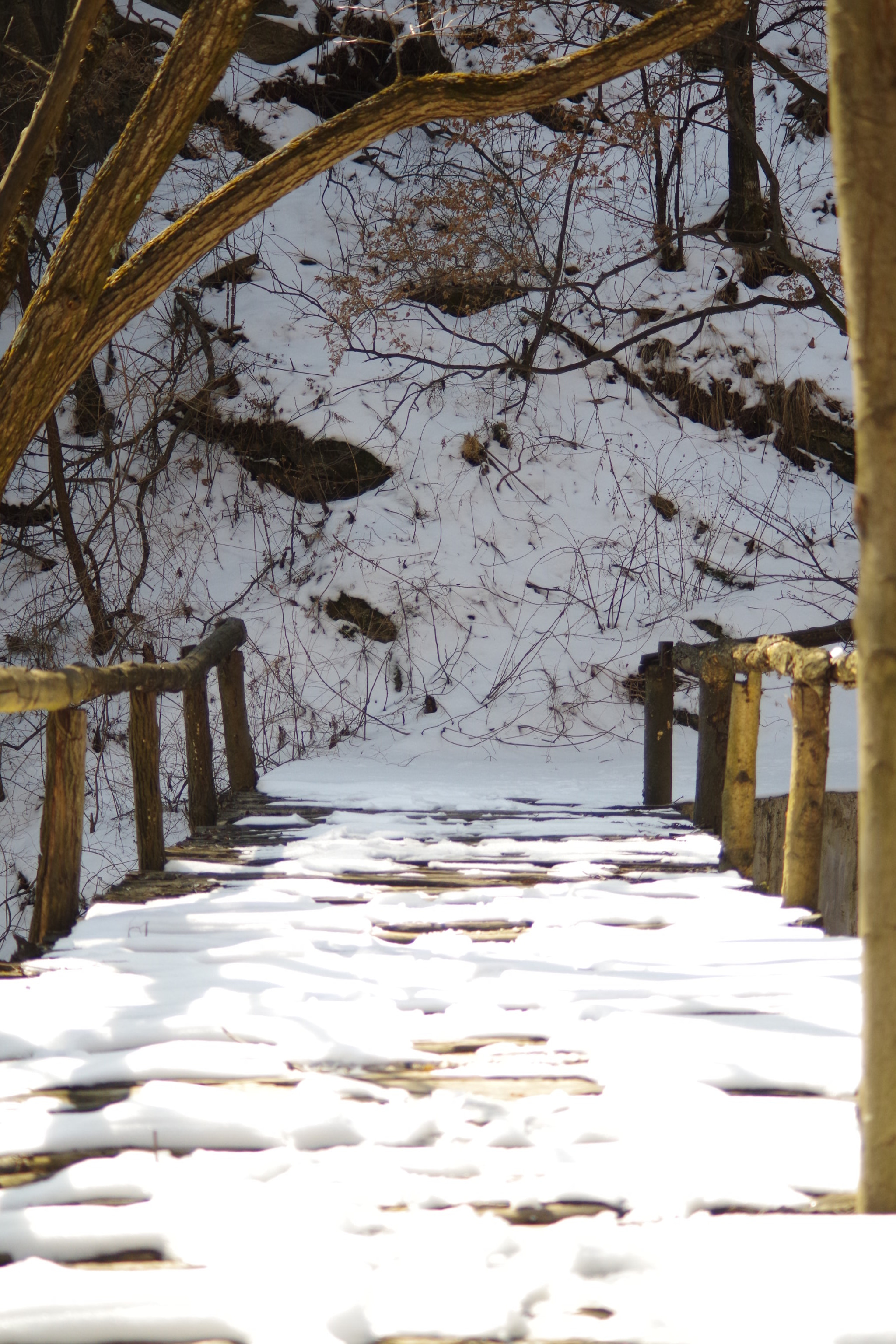 HD Pentax DA 55-300mm F4.0-5.8 ED WR sample photo. Shaohua mountain  photography