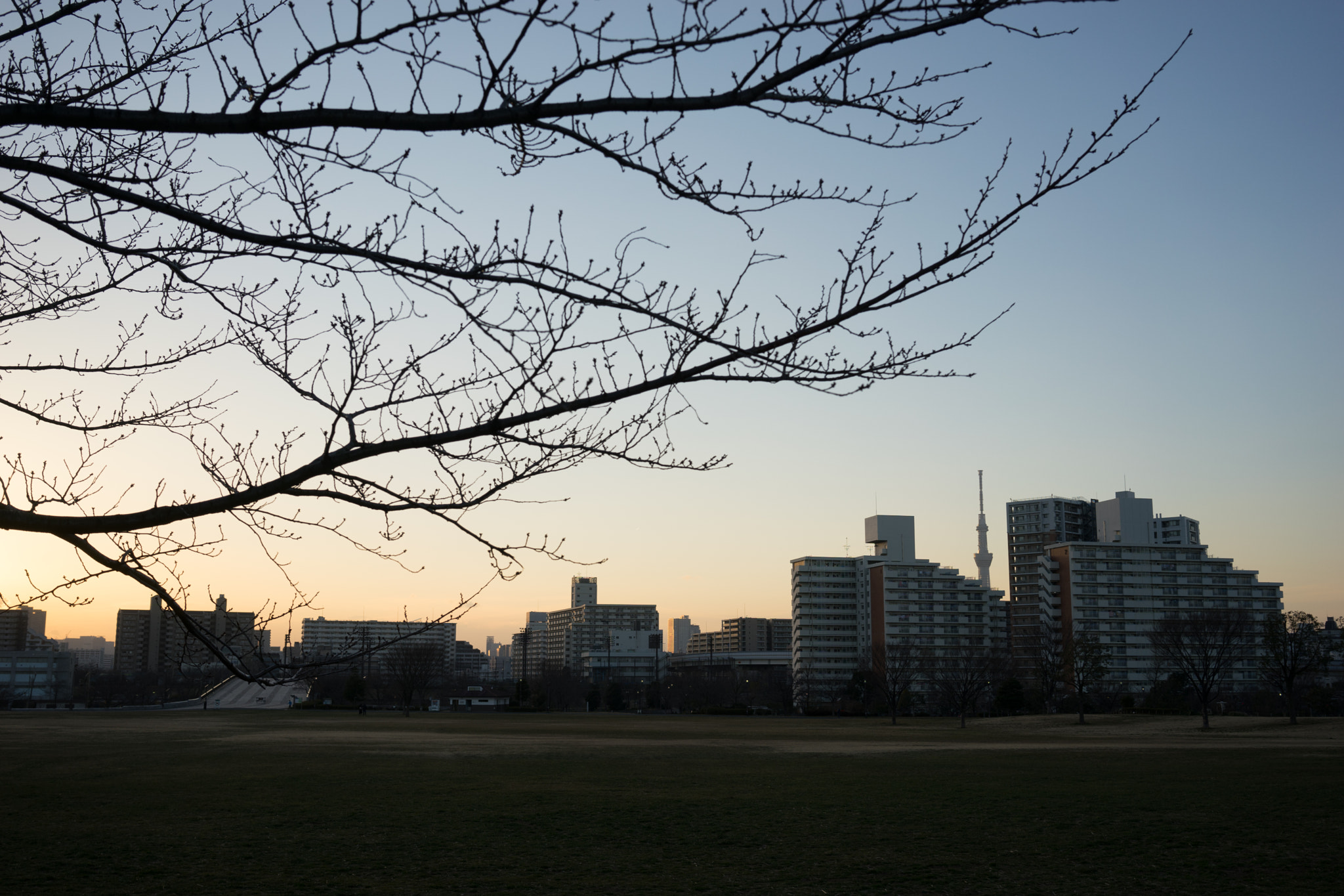Sony a7 + Sony Sonnar T* FE 35mm F2.8 ZA sample photo. The only constant photography