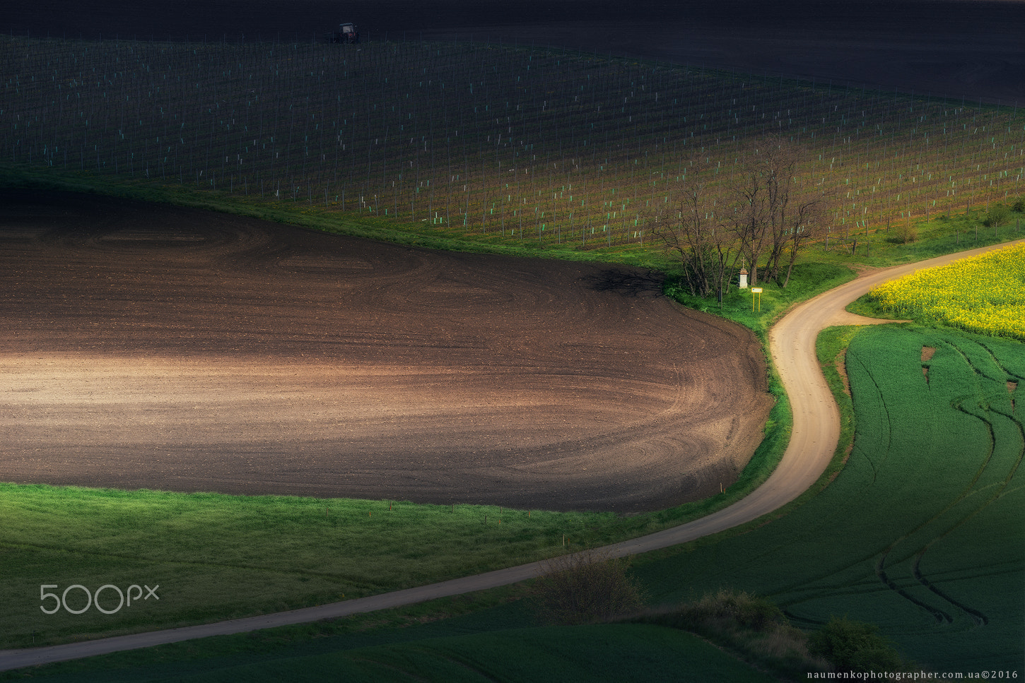 Tamron 18-270mm F3.5-6.3 Di II PZD sample photo. Czech republic. south moravia. landscape park hovoranske louky photography