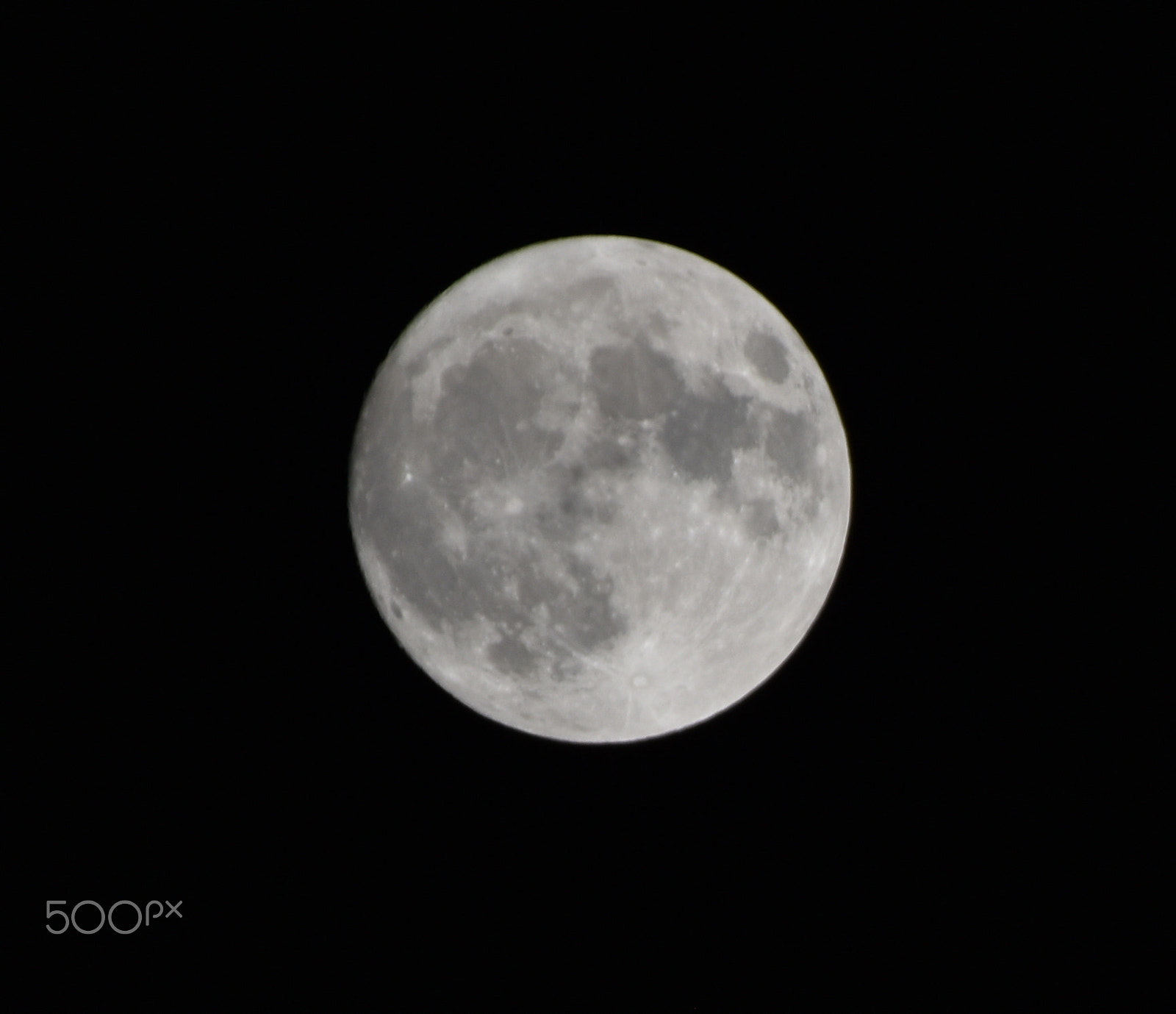 Nikon D5500 sample photo. Supermoon 13nov2016 photography