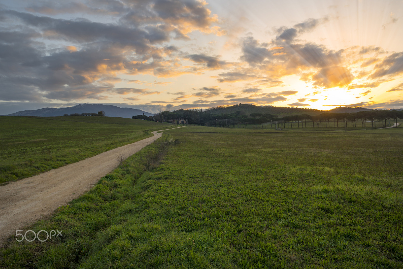 Nikon D810 sample photo. Sunset pastoral path photography