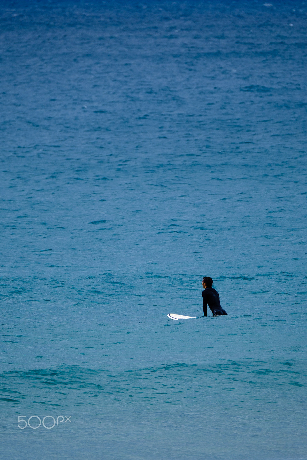 Fujifilm XF 100-400mm F4.5-5.6 R LM OIS WR sample photo. Manly beach, sydney, australia photography